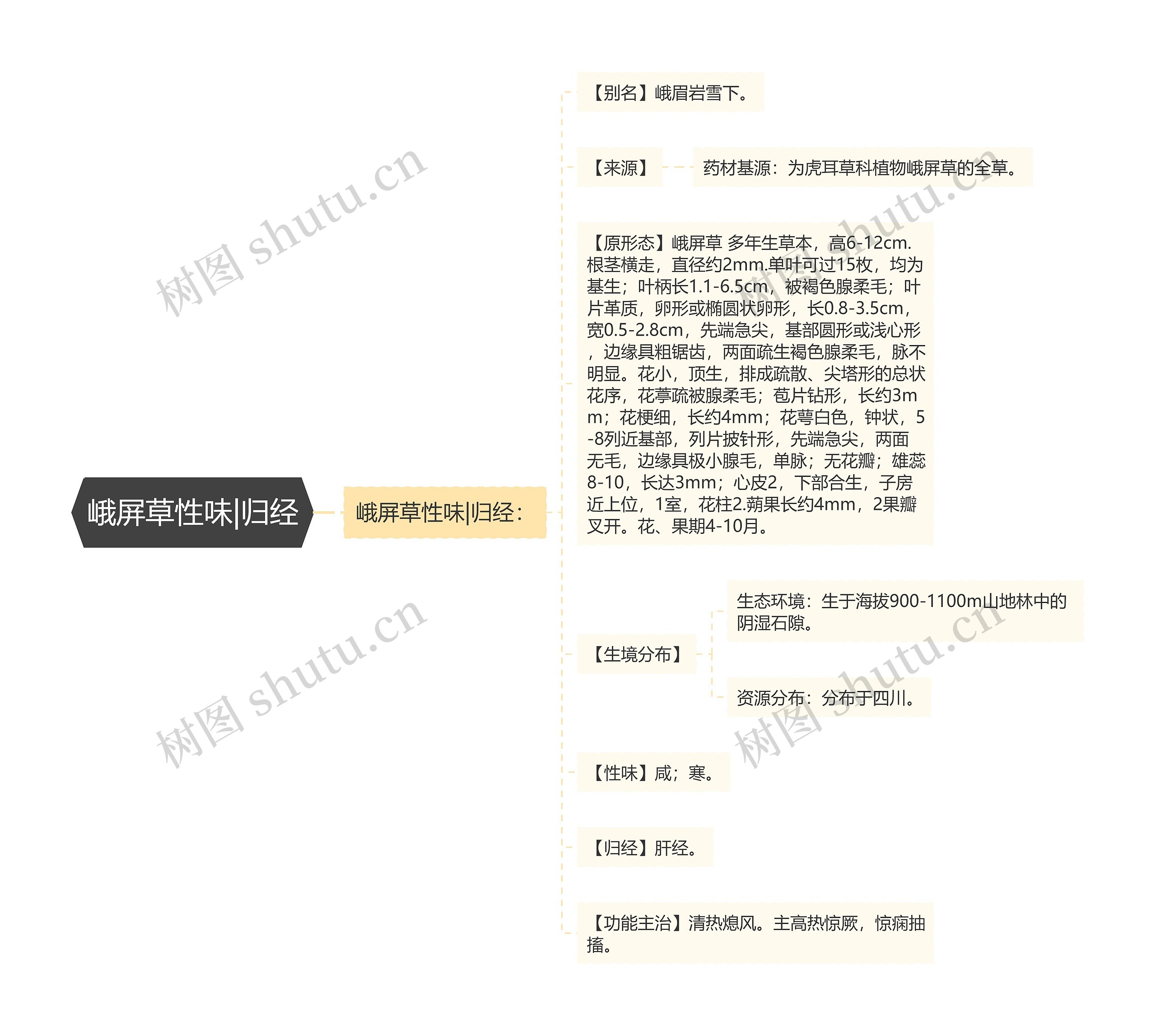 峨屏草性味|归经思维导图