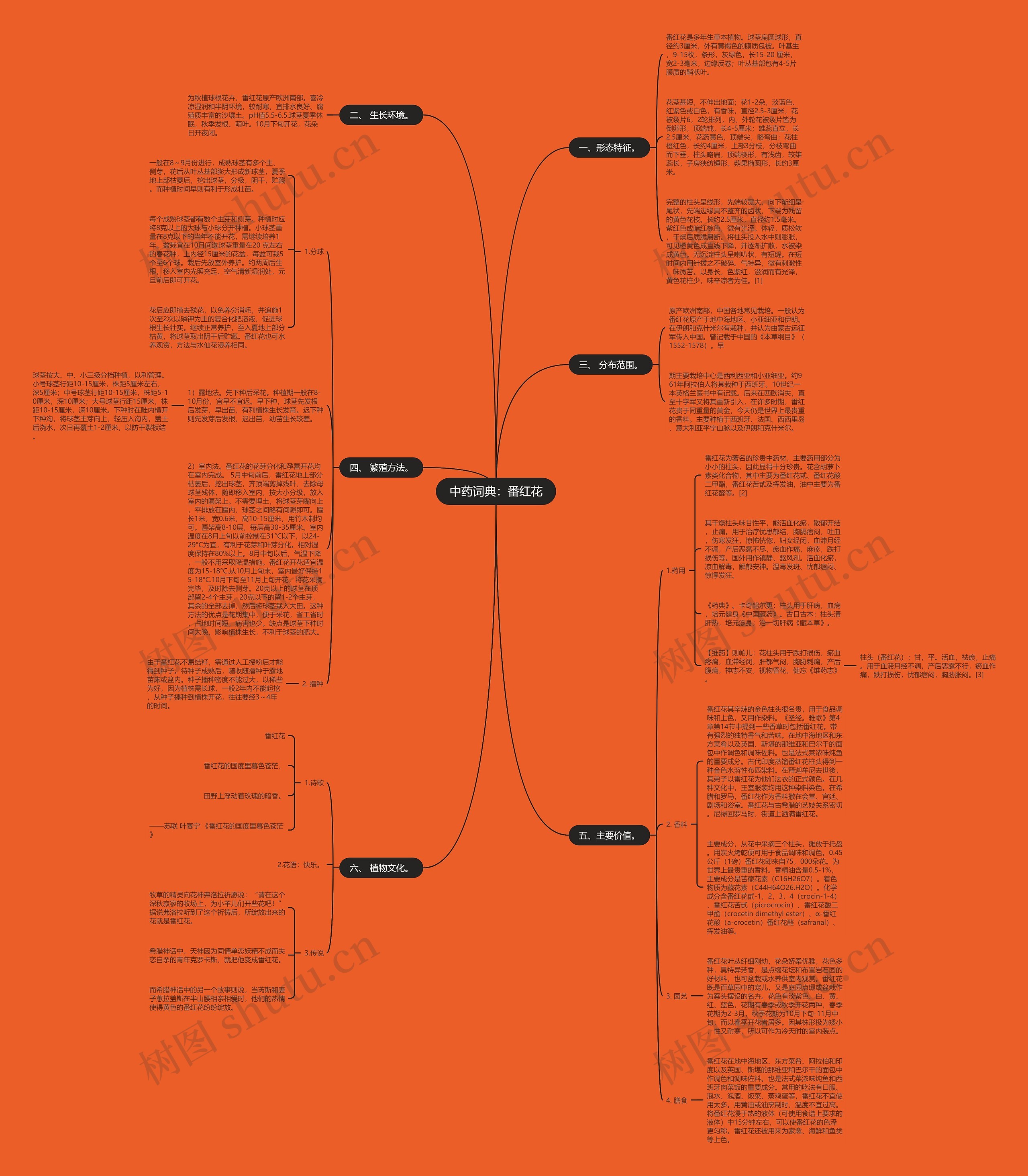 中药词典：番红花思维导图
