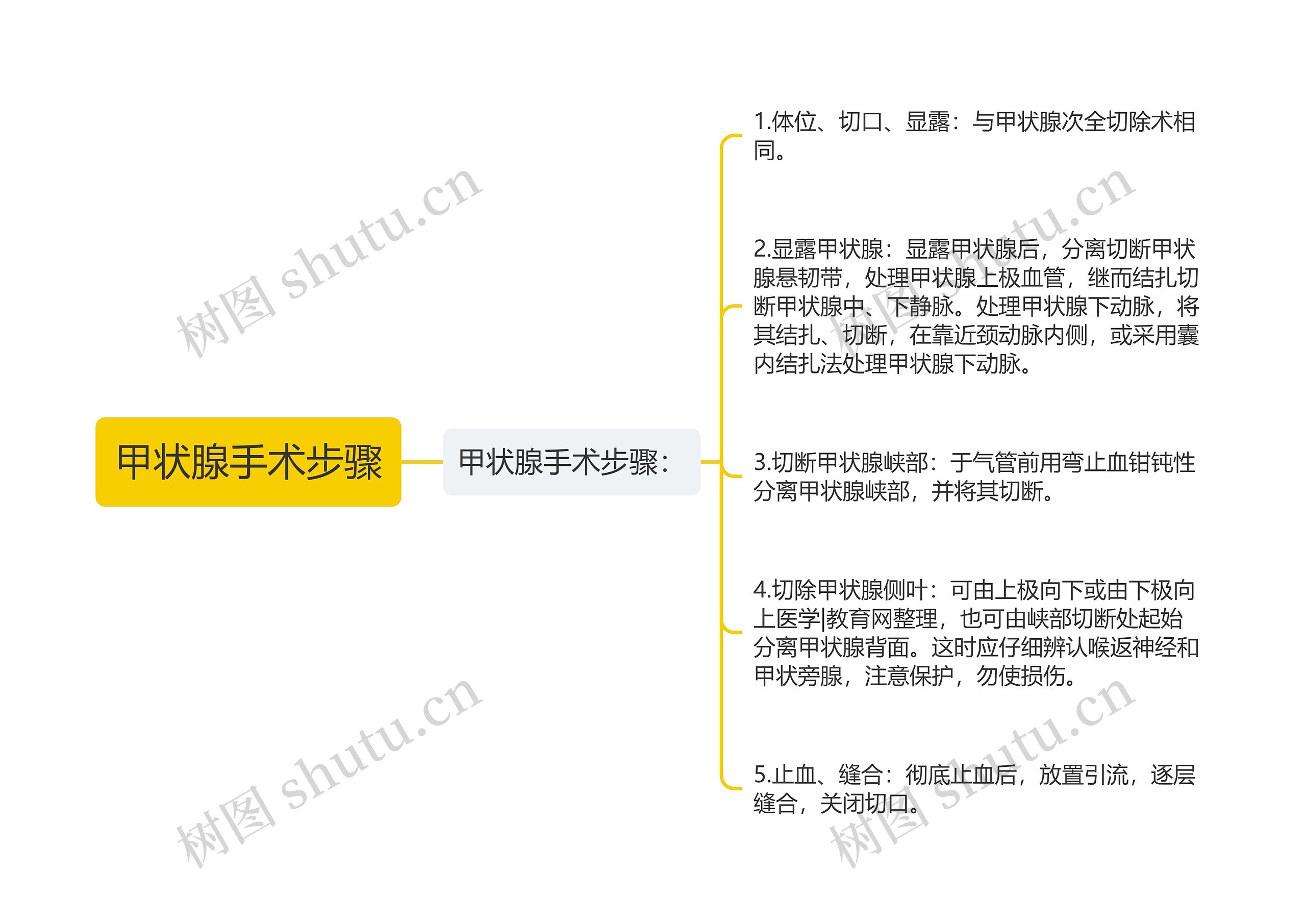 甲状腺手术步骤思维导图