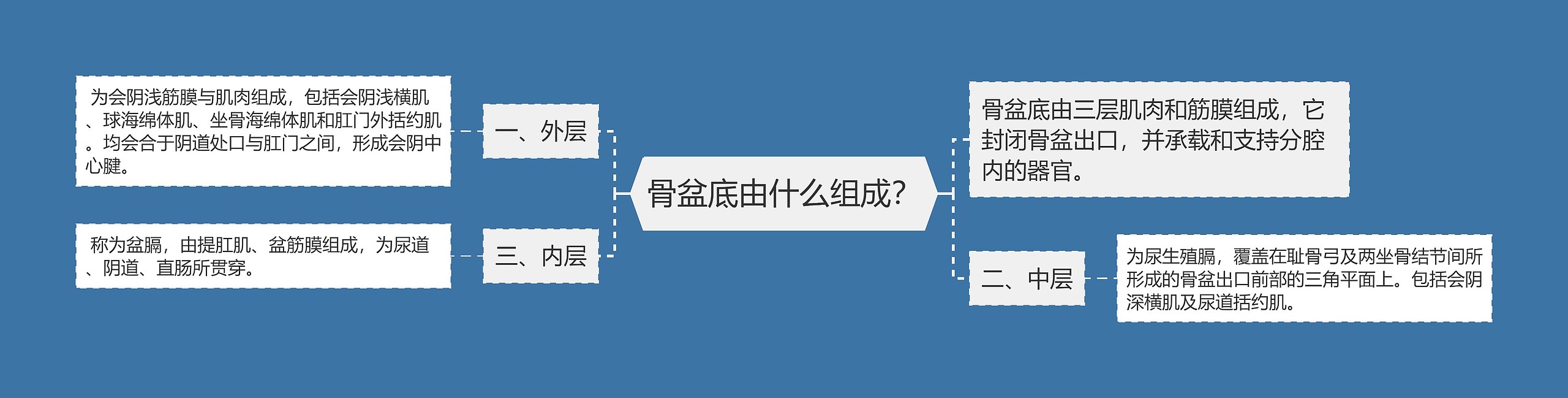 骨盆底由什么组成？