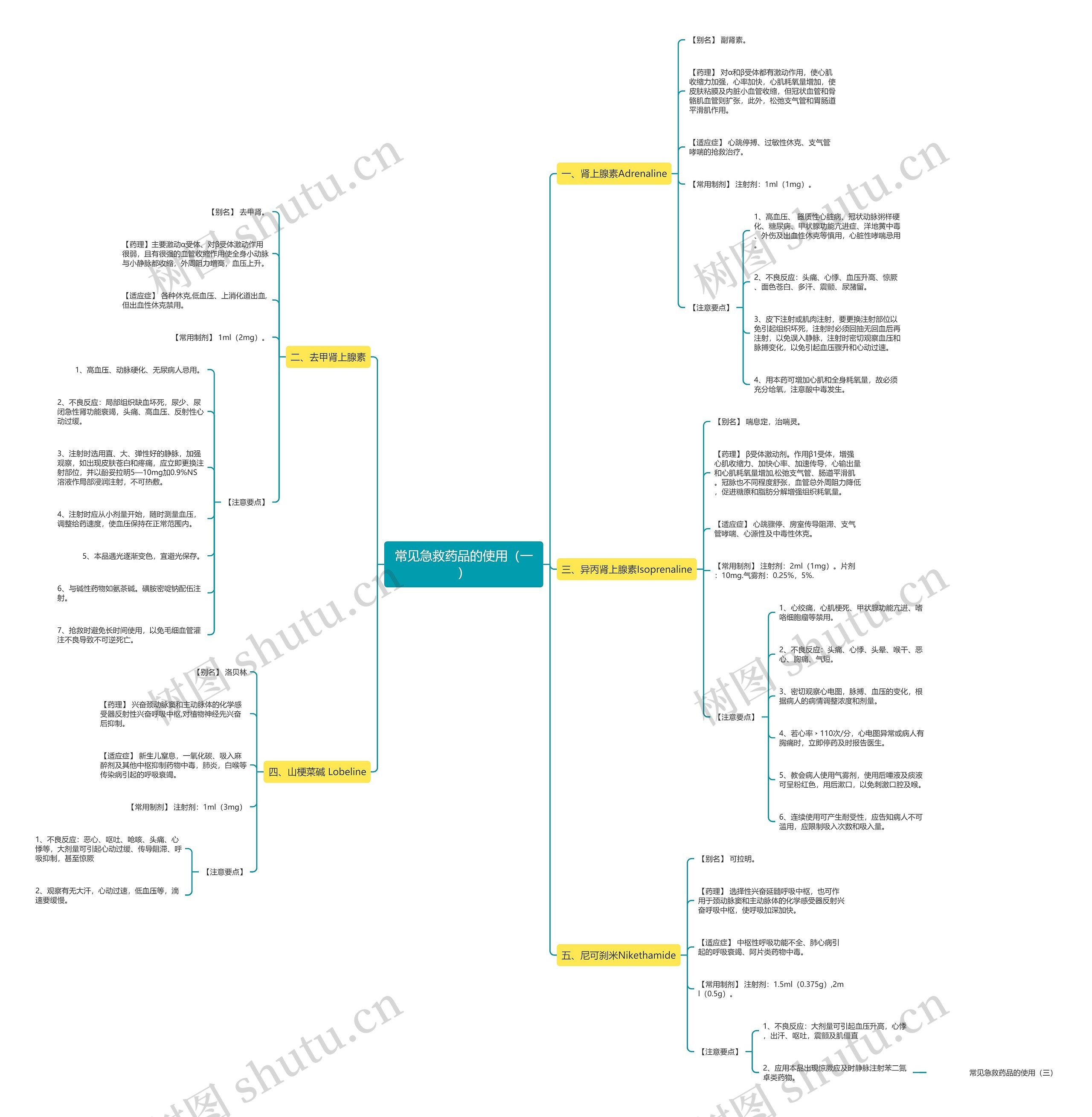 常见急救药品的使用（一）思维导图