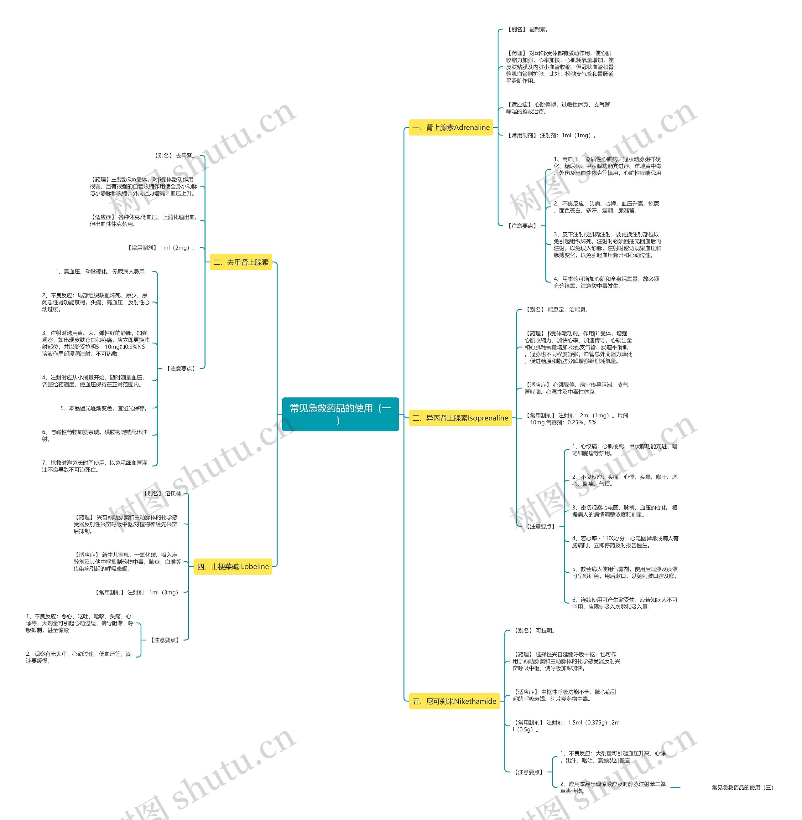 常见急救药品的使用(一) 常见急救药品的使用(一)