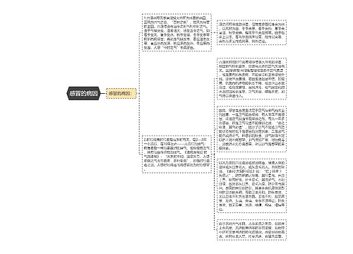 感冒的病因