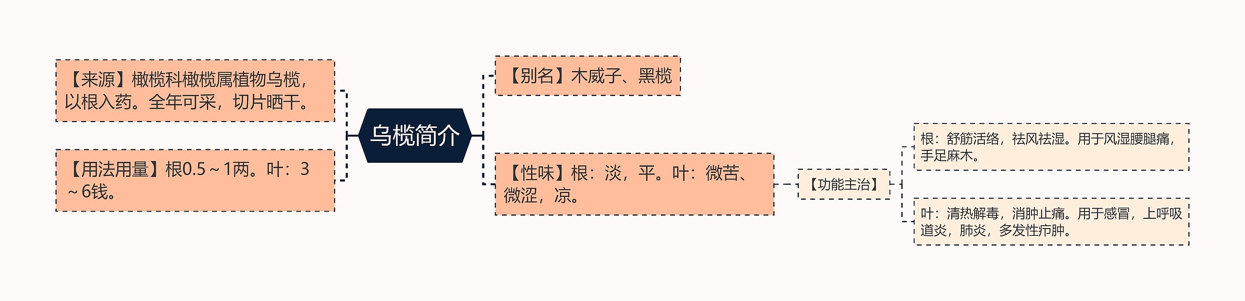 乌榄简介