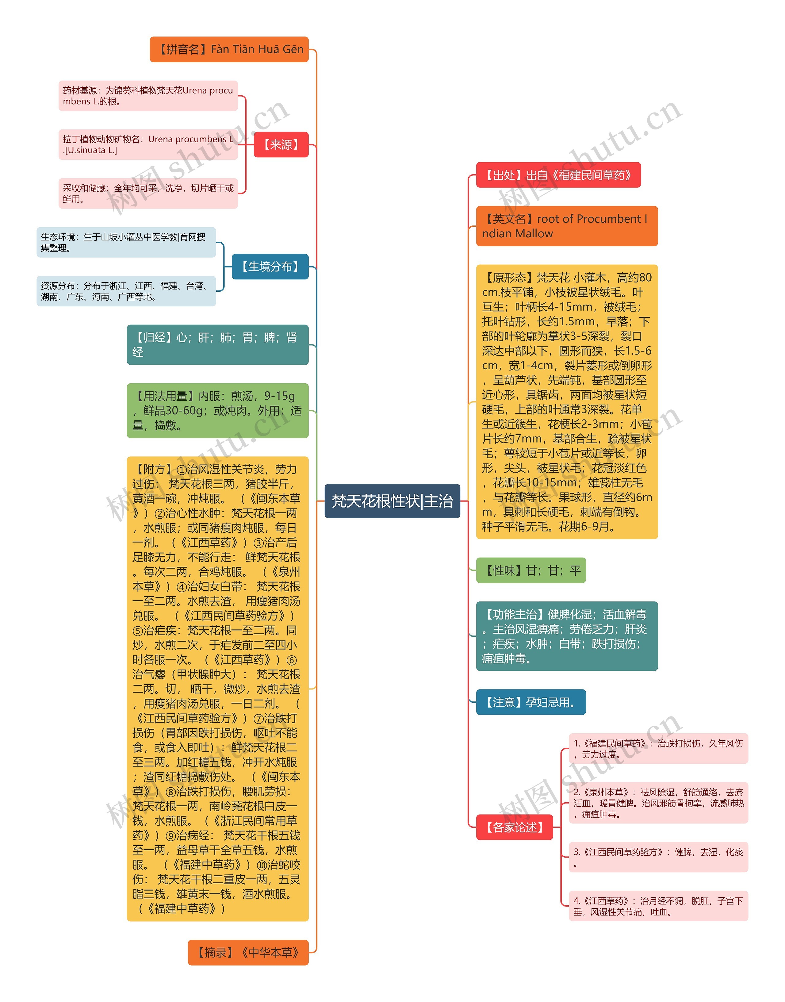 梵天花根性状|主治思维导图