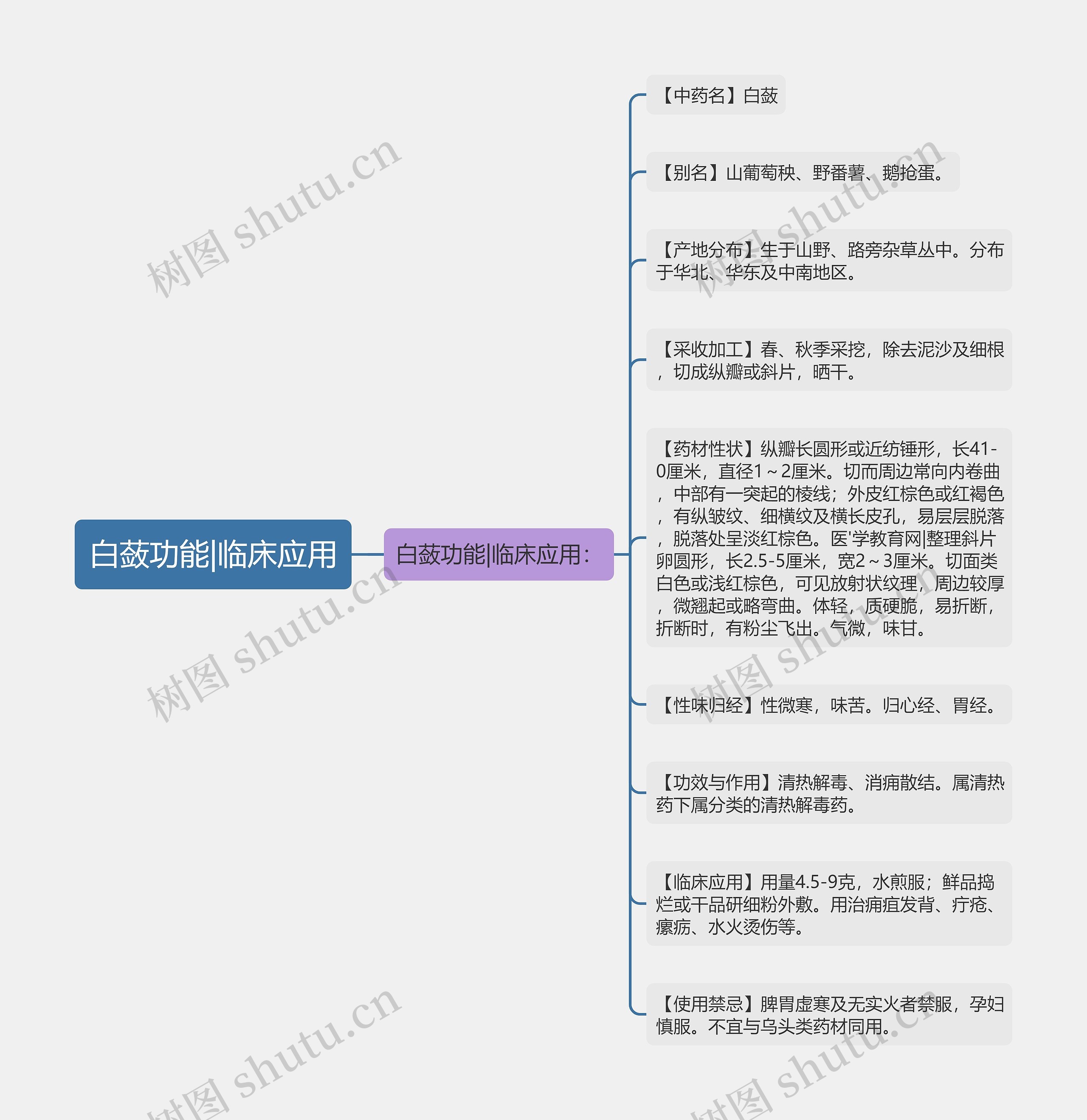 白蔹功能|临床应用