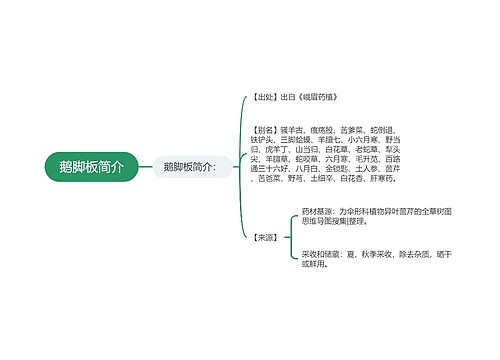 鹅脚板简介