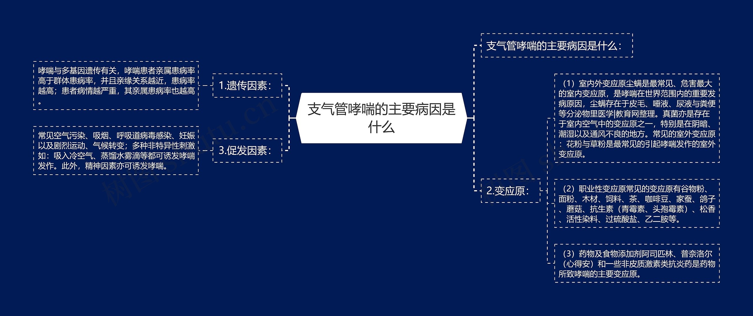 支气管哮喘的主要病因是什么