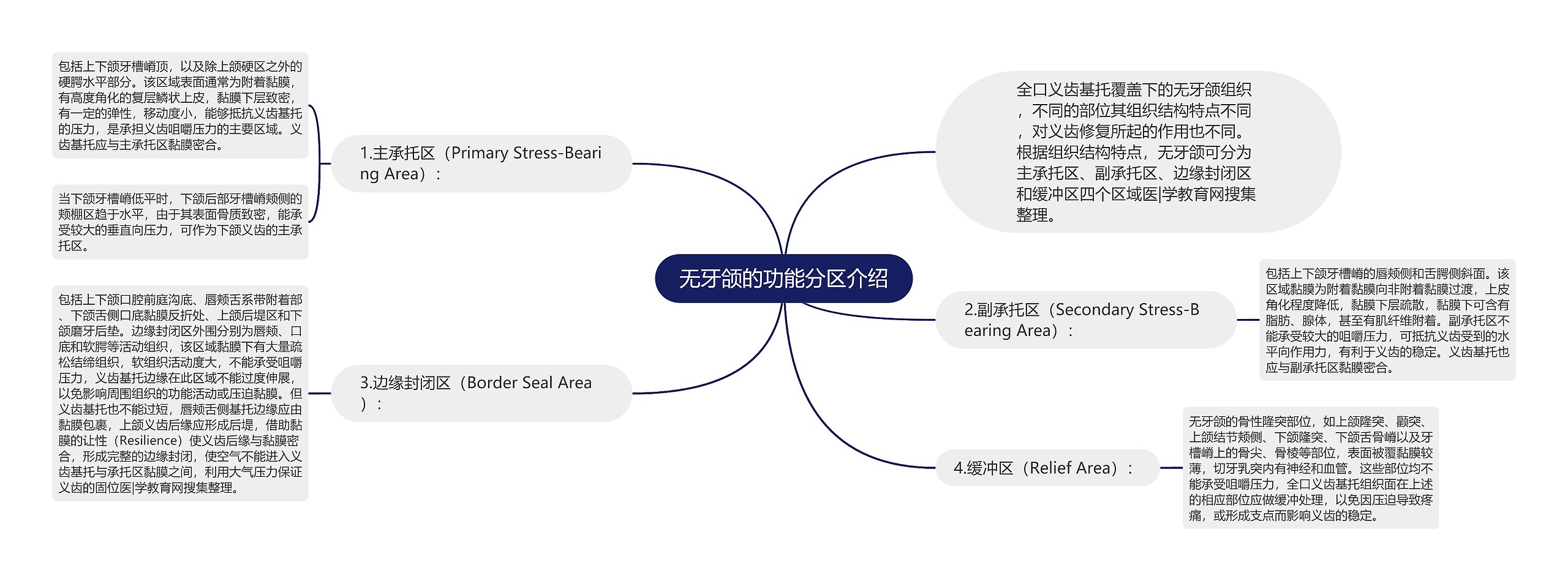 无牙颌的功能分区介绍思维导图