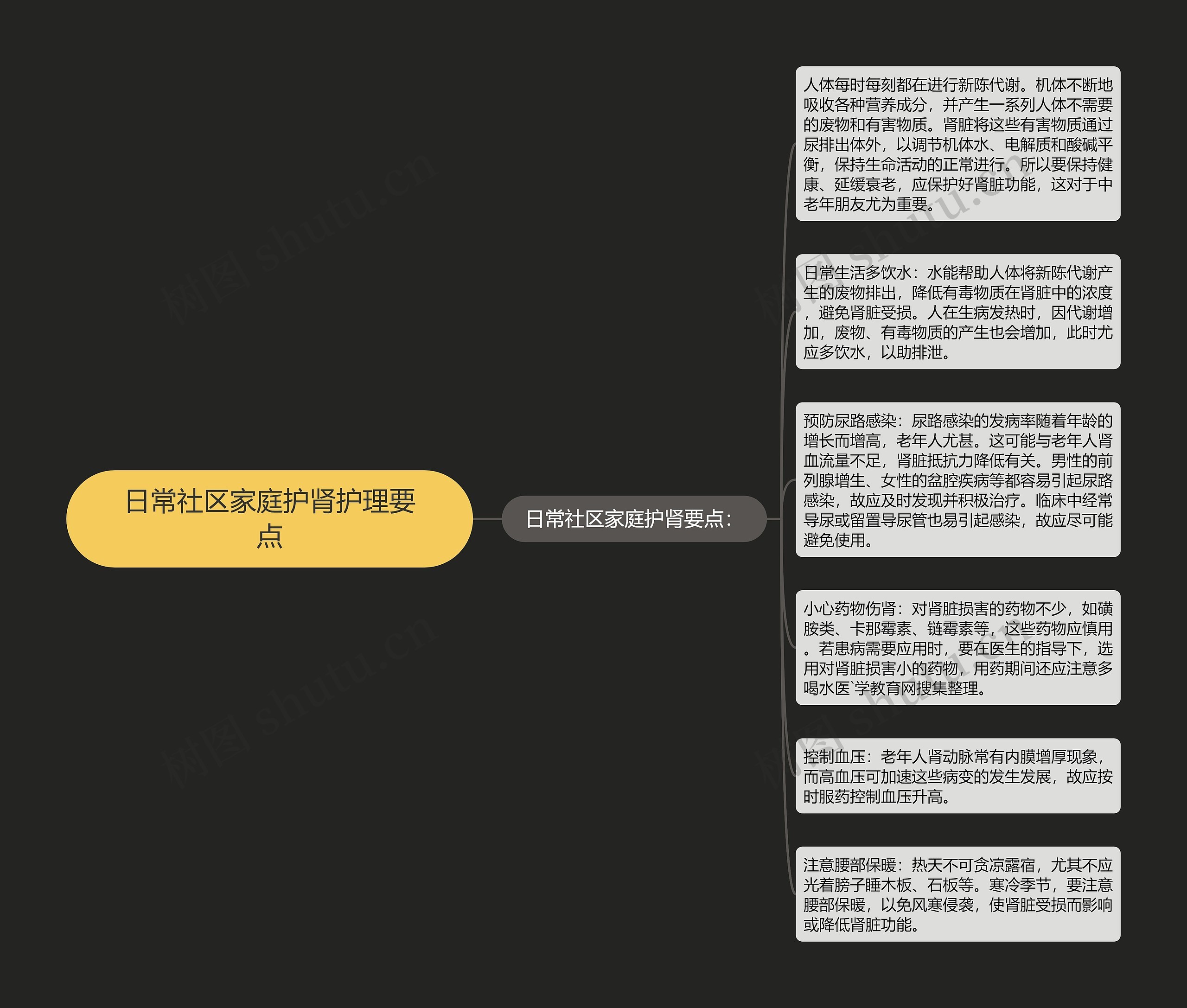 日常社区家庭护肾护理要点