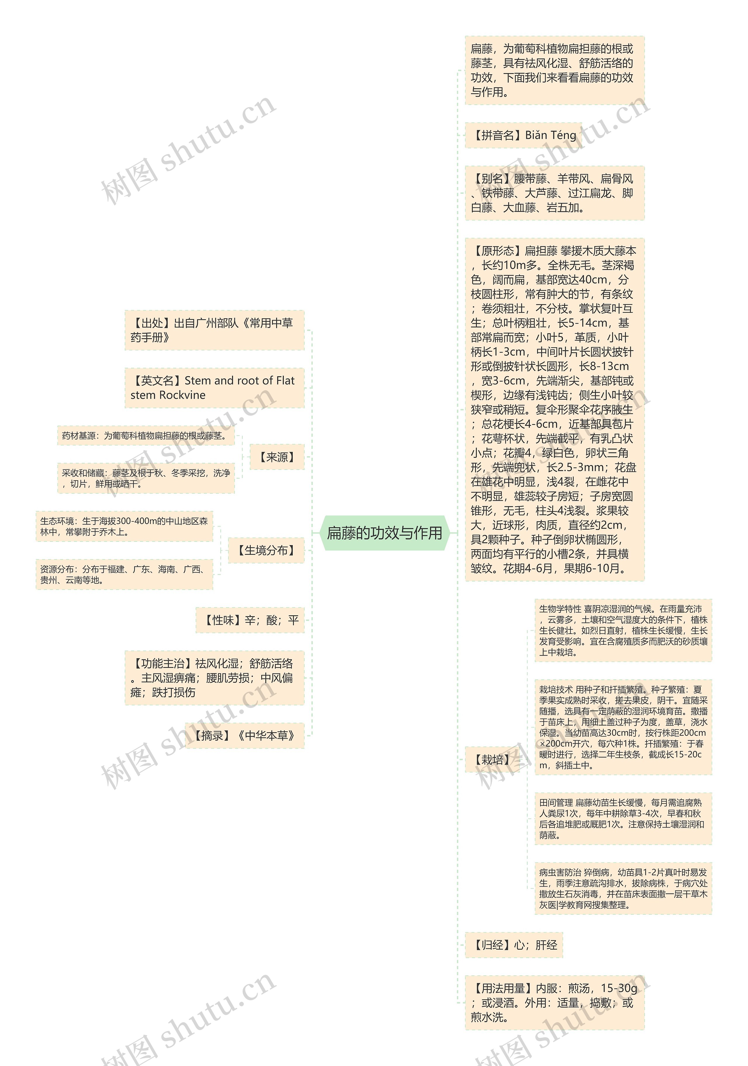 扁藤的功效与作用