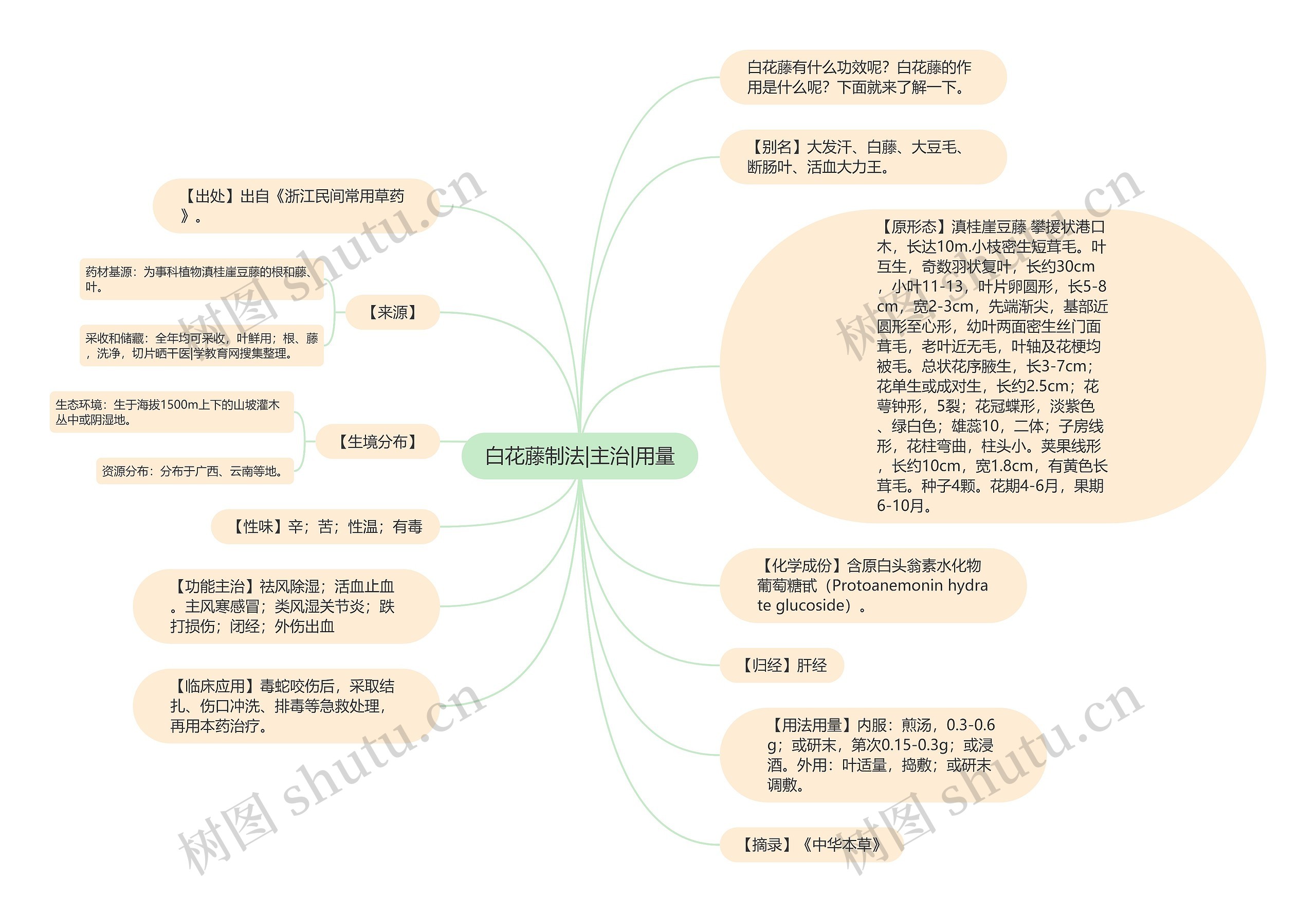 白花藤制法|主治|用量思维导图
