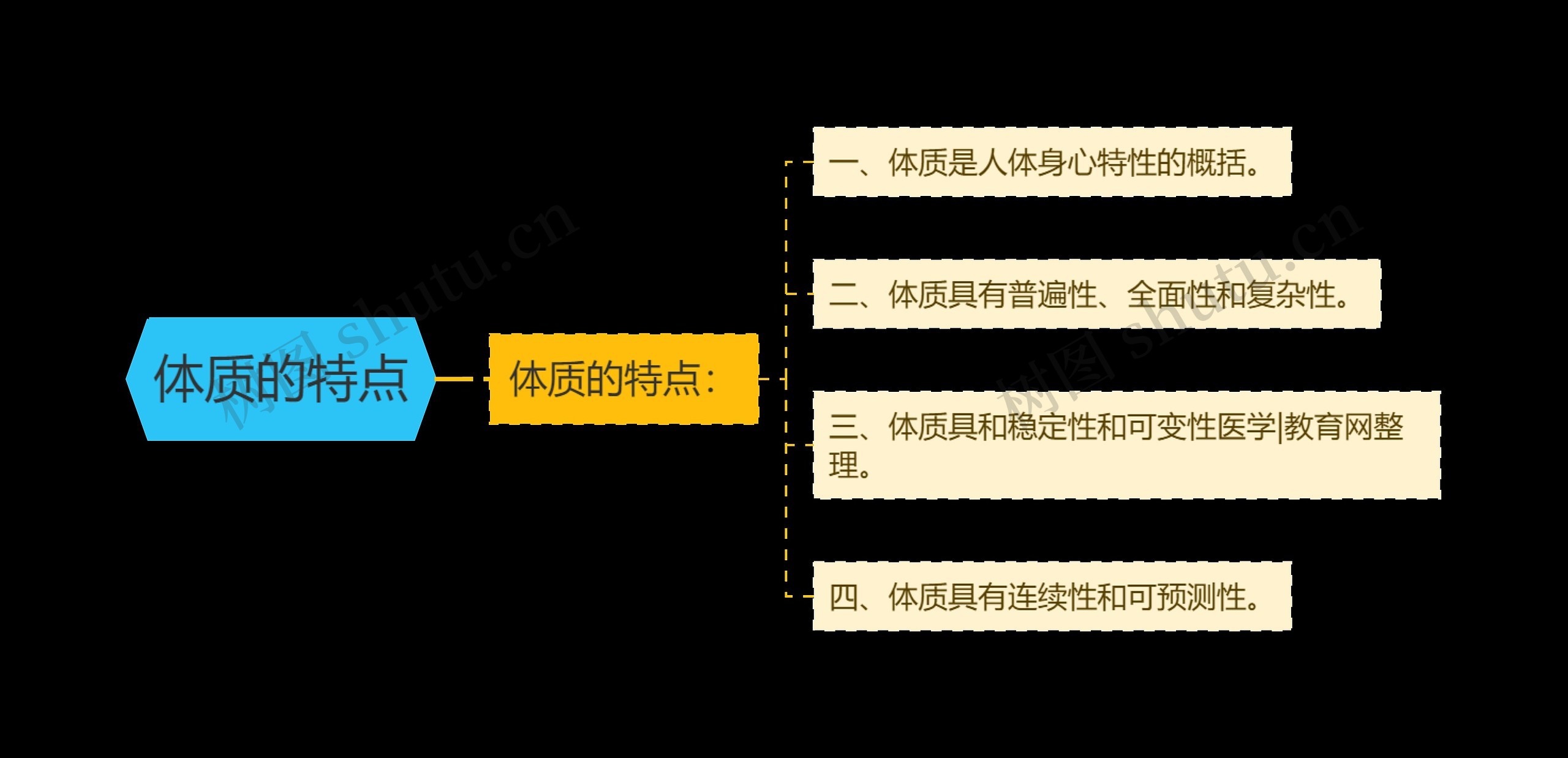 体质的特点