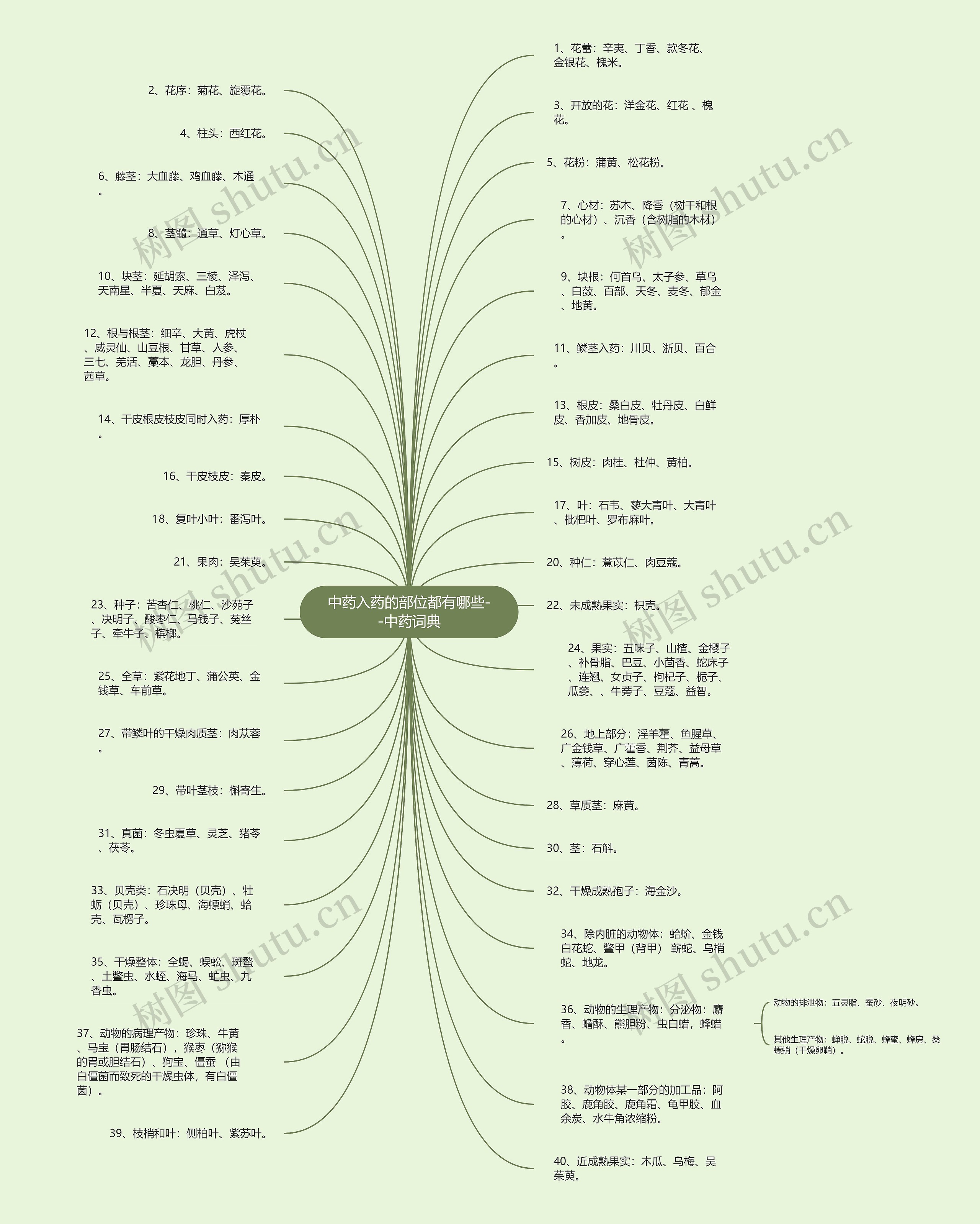 中药入药的部位都有哪些--中药词典思维导图