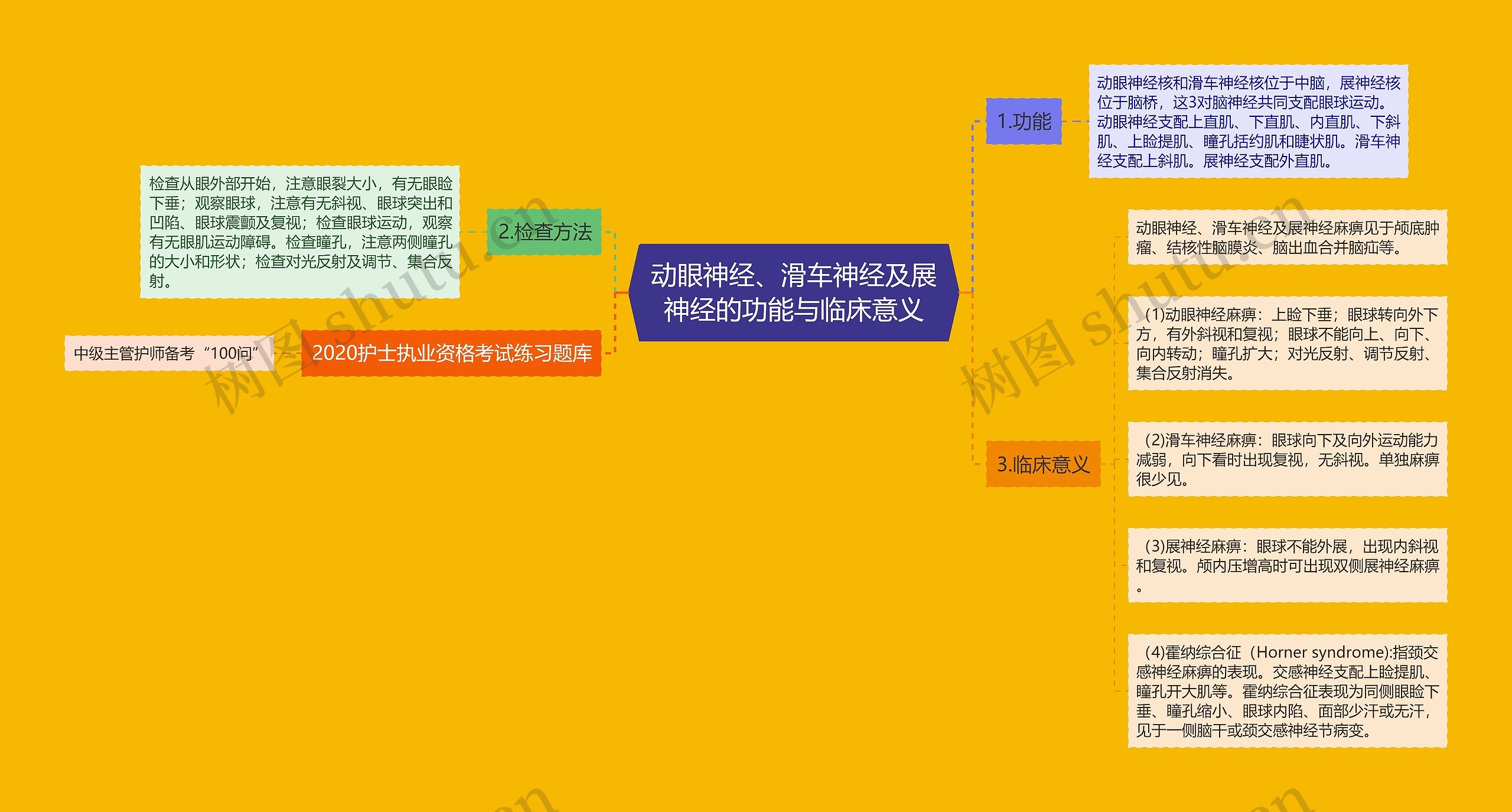 动眼神经、滑车神经及展神经的功能与临床意义思维导图