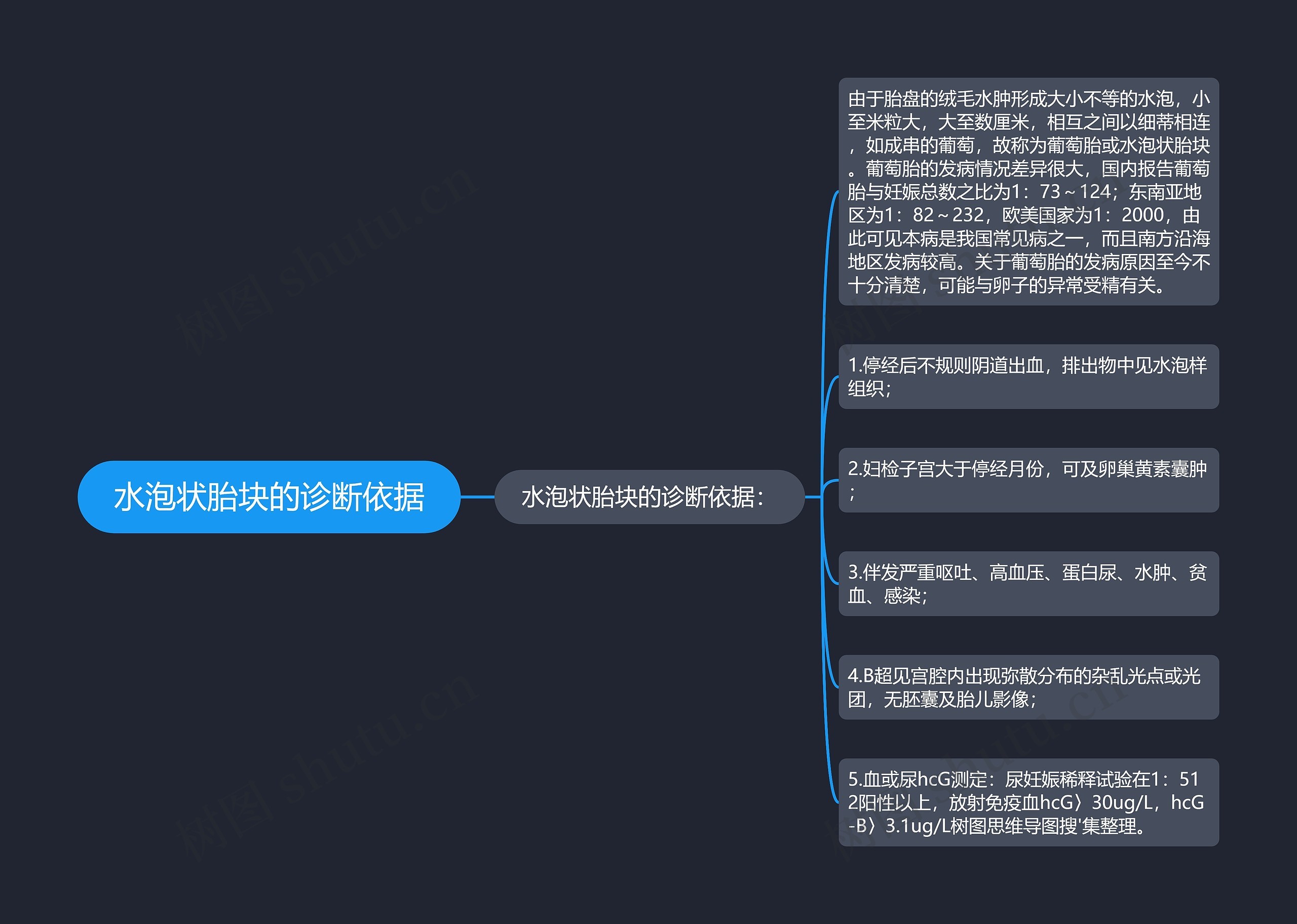 水泡状胎块的诊断依据