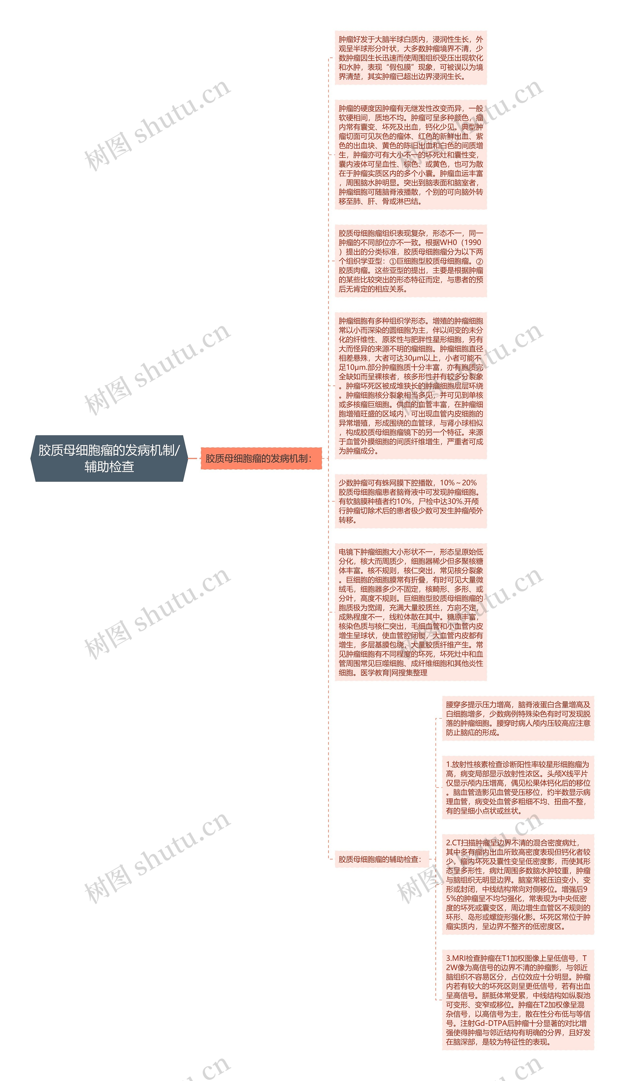 胶质母细胞瘤的发病机制/辅助检查