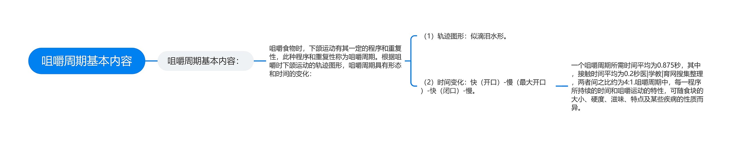 咀嚼周期基本内容思维导图