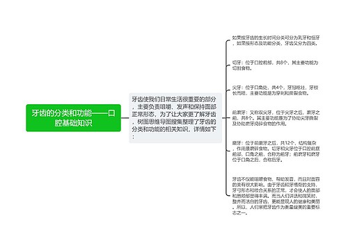 牙齿的分类和功能——口腔基础知识