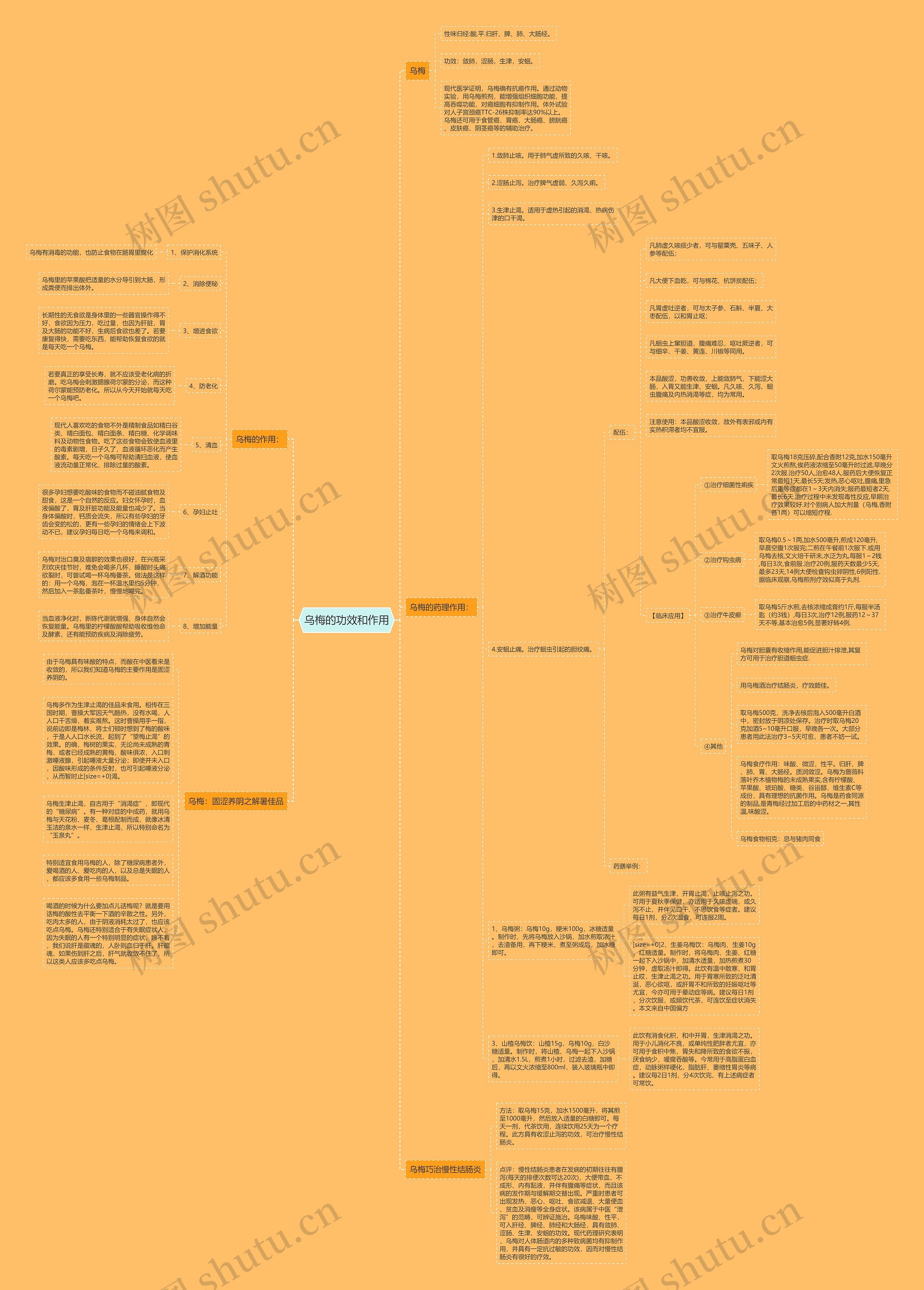乌梅的功效和作用 乌梅的功效和作用