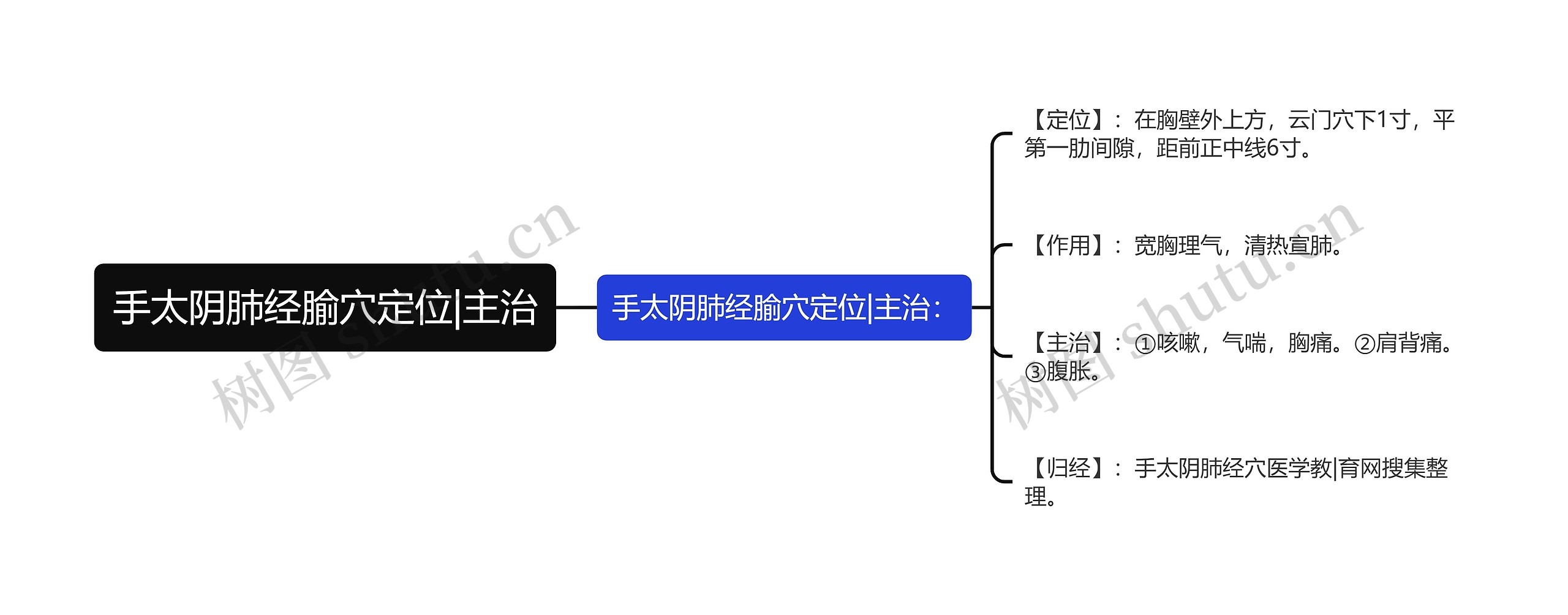 手太阴肺经腧穴定位|主治思维导图