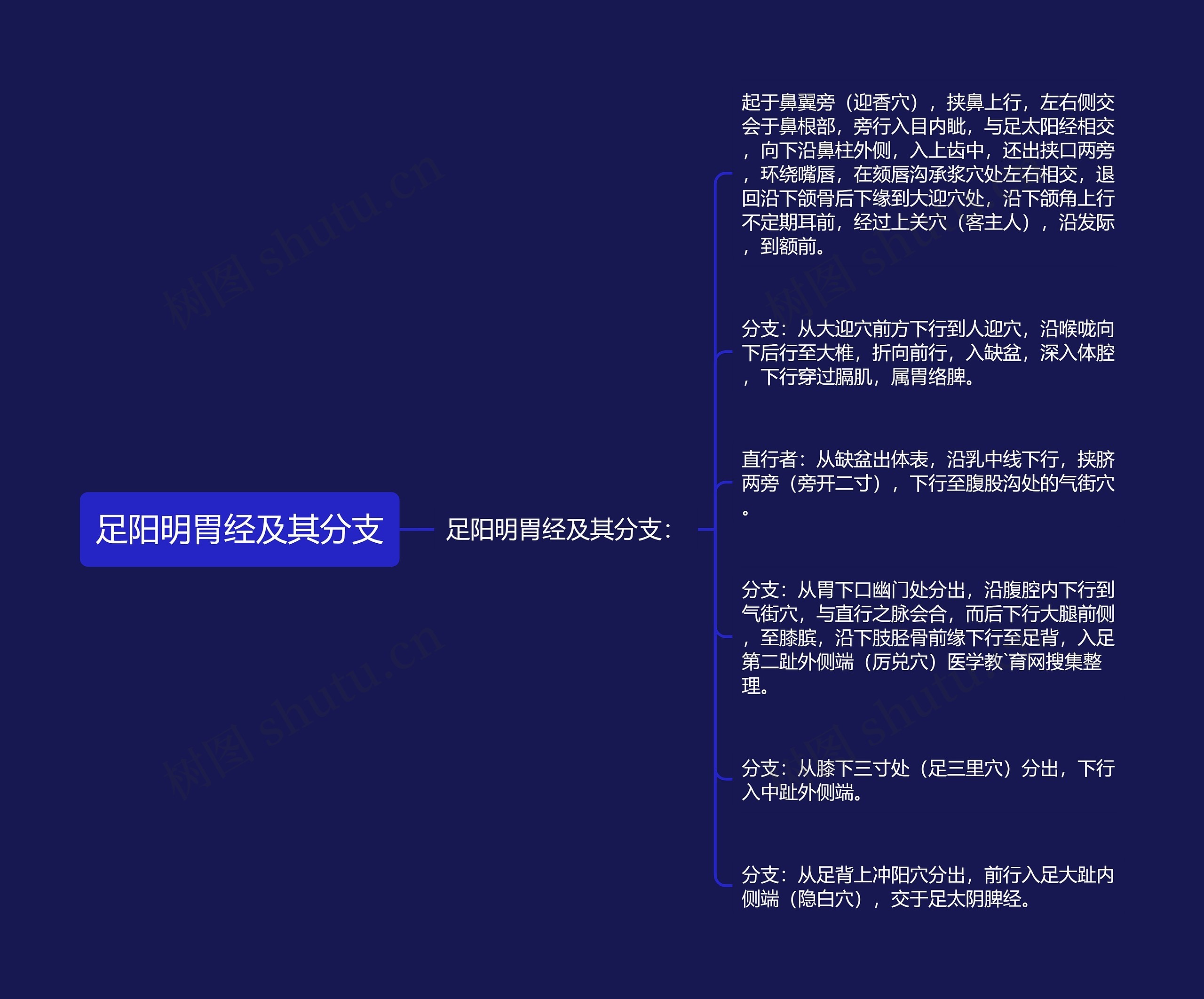 足阳明胃经及其分支思维导图