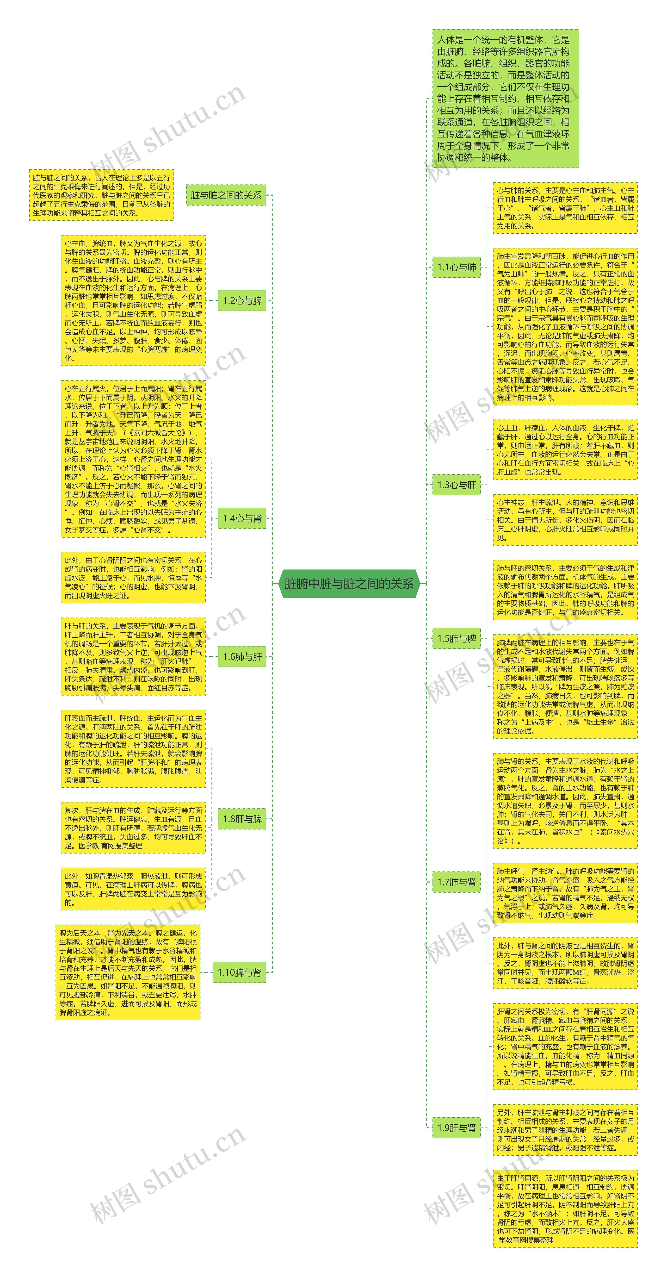 脏腑中脏与脏之间的关系思维导图