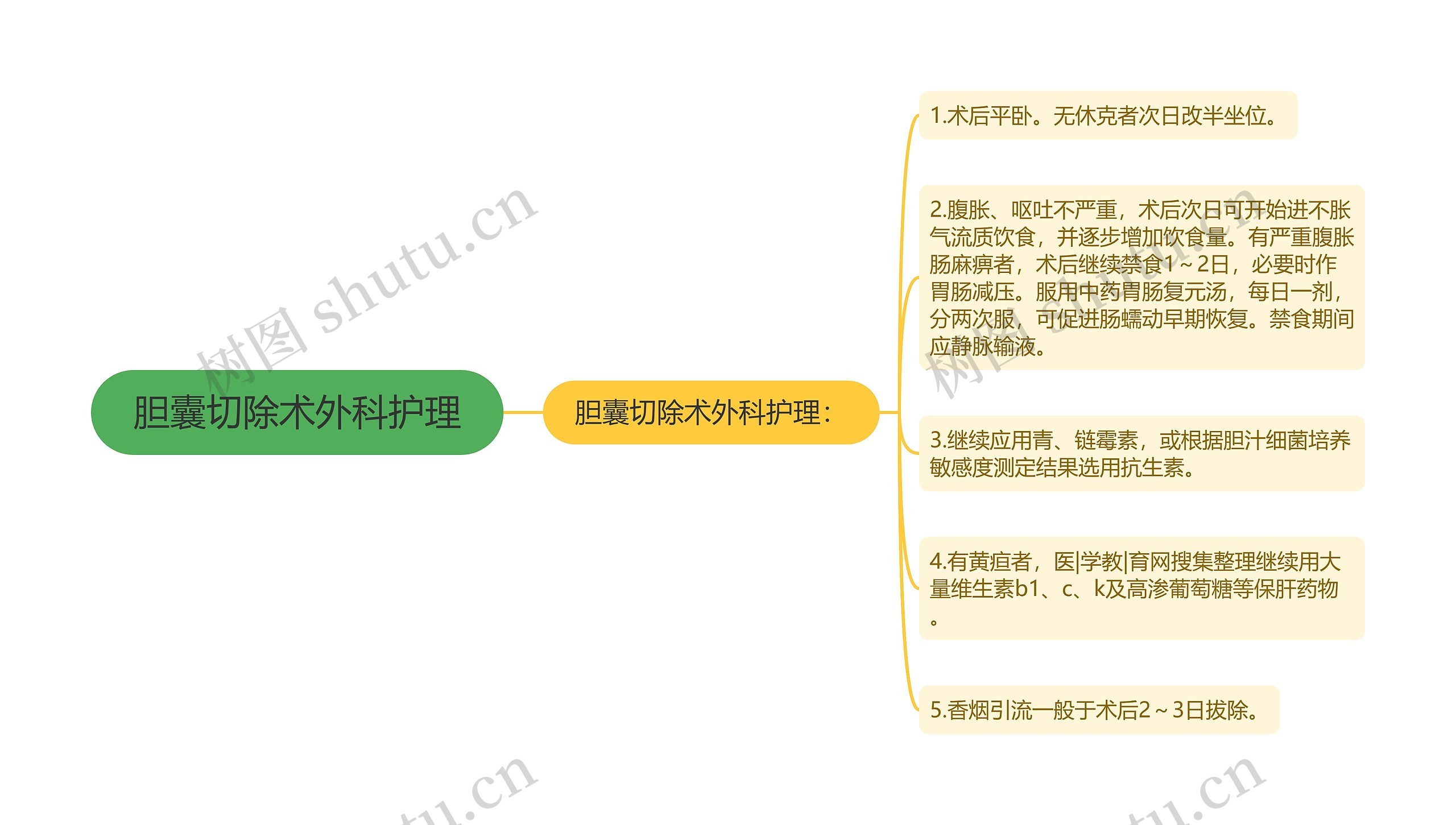 胆囊切除术外科护理思维导图