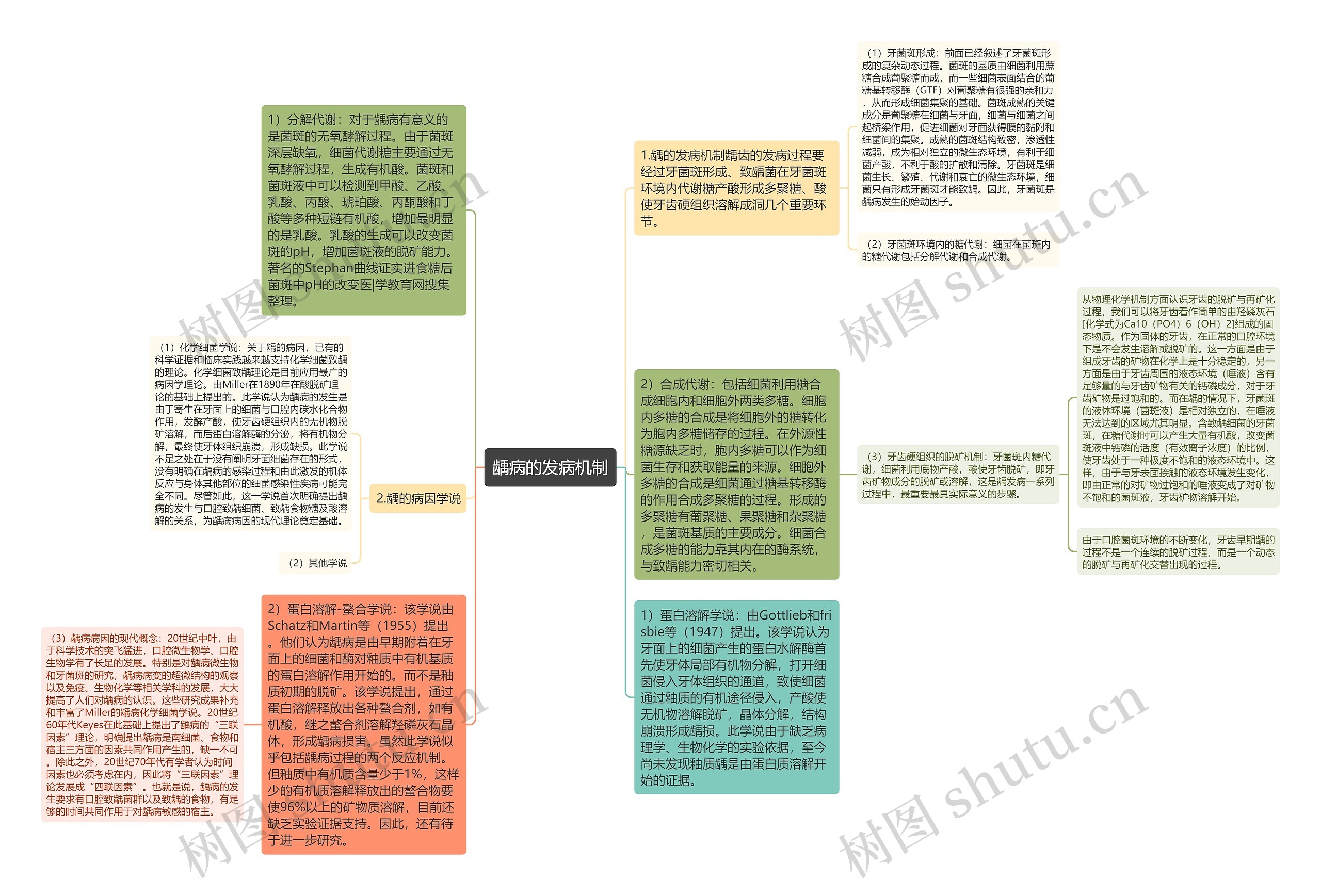 龋病的发病机制思维导图