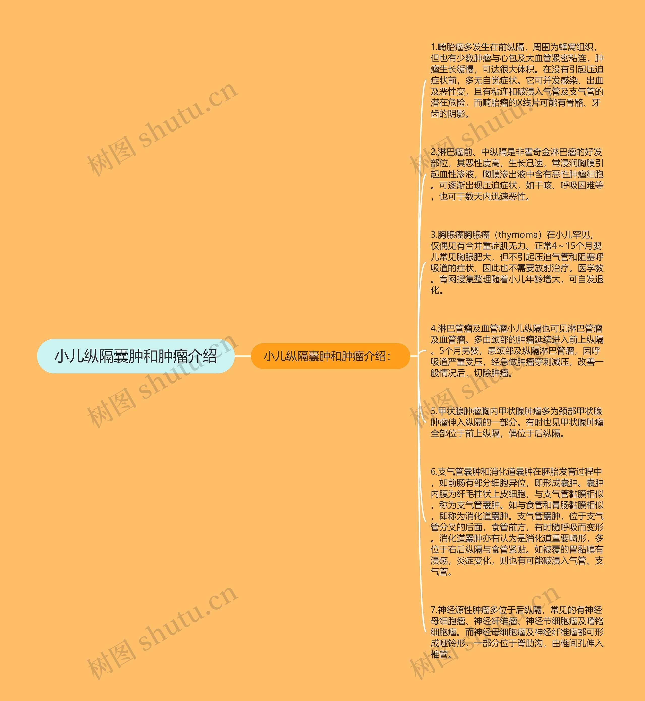小儿纵隔囊肿和肿瘤介绍