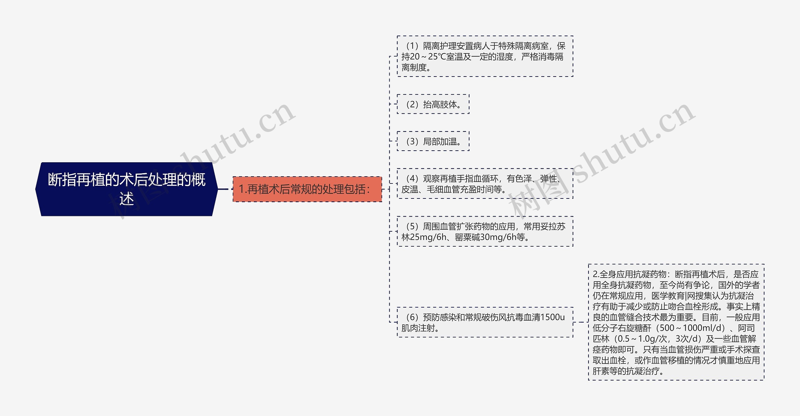 断指再植的术后处理的概述