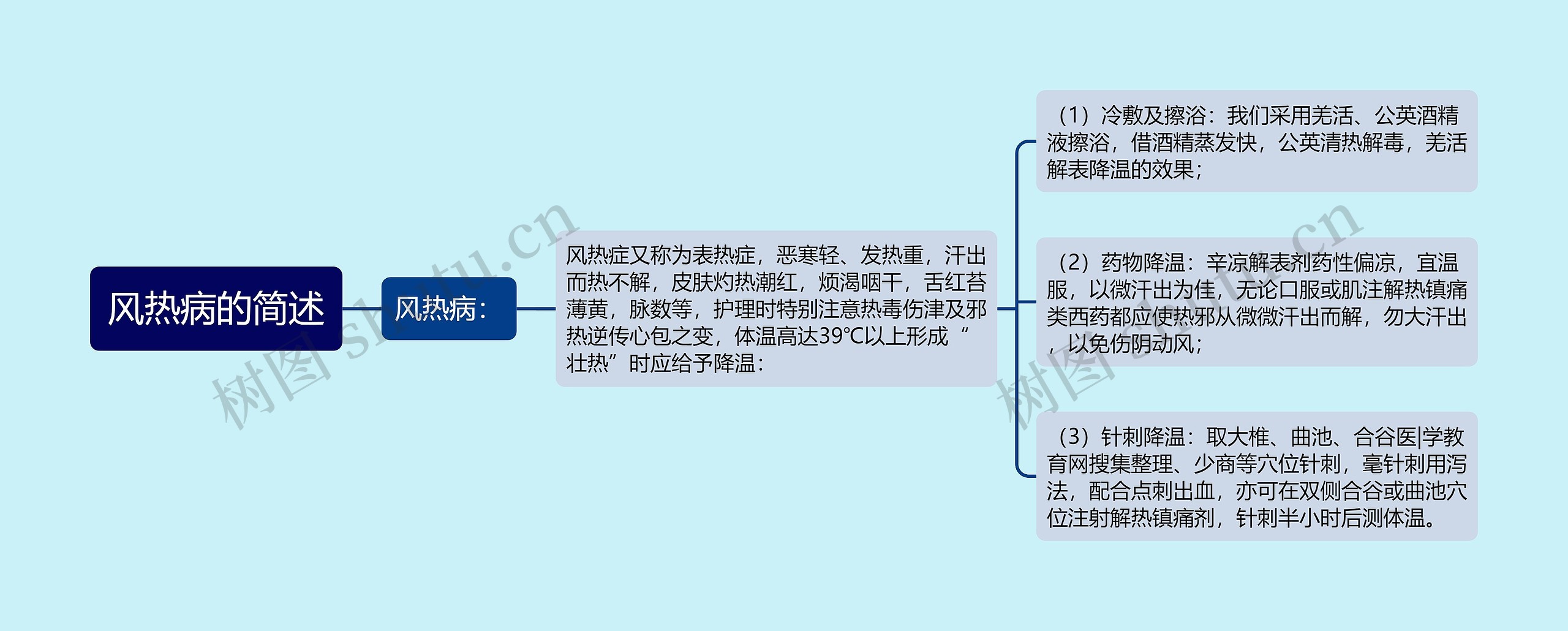 风热病的简述思维导图