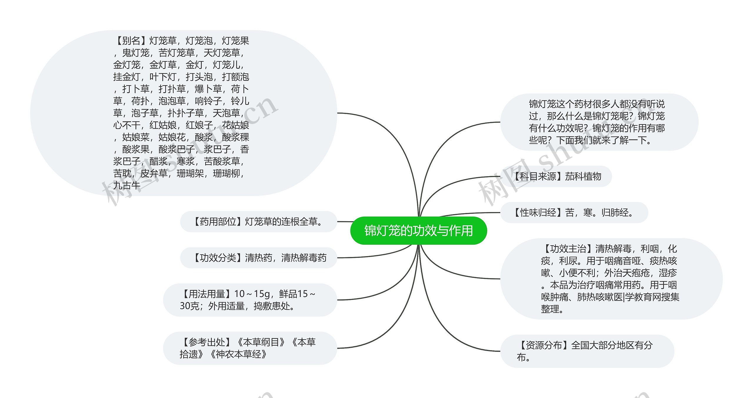 锦灯笼的功效与作用思维导图