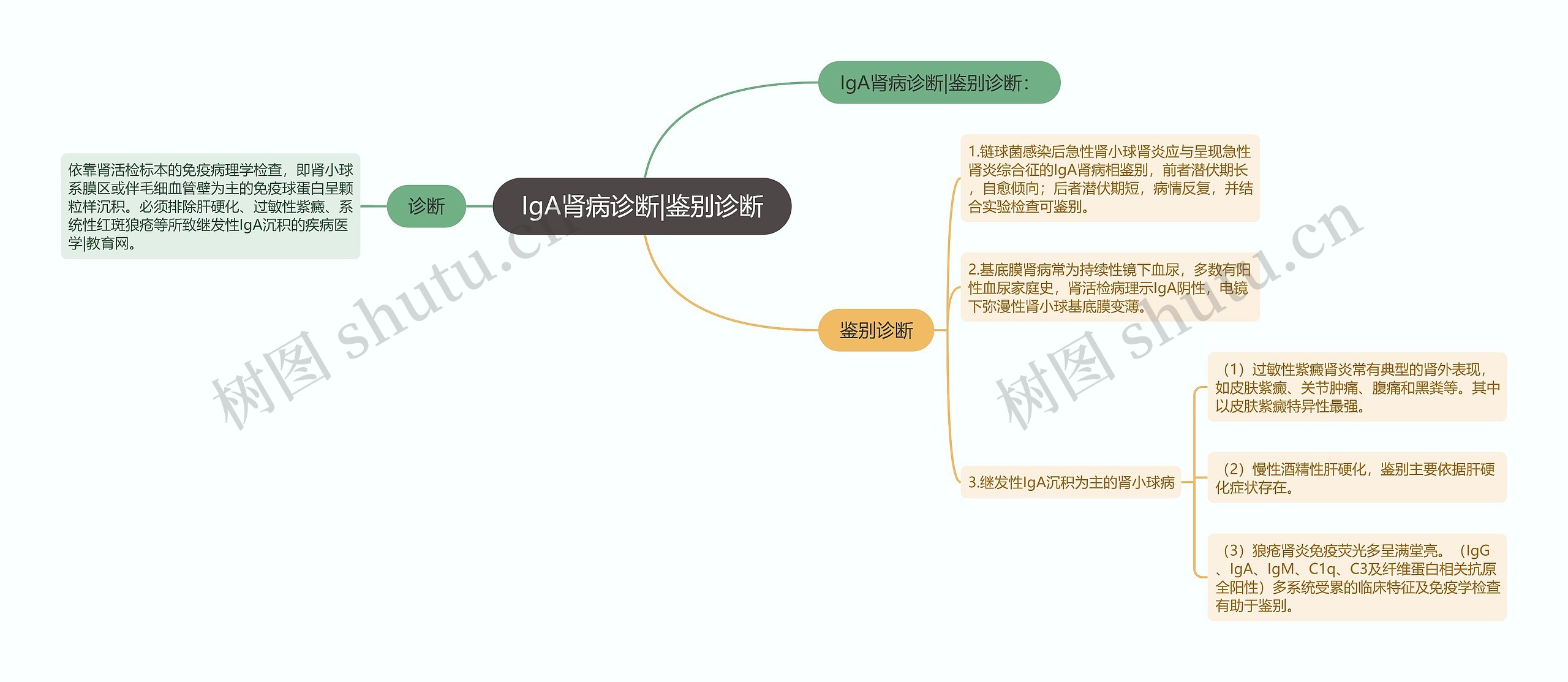 IgA肾病诊断|鉴别诊断思维导图