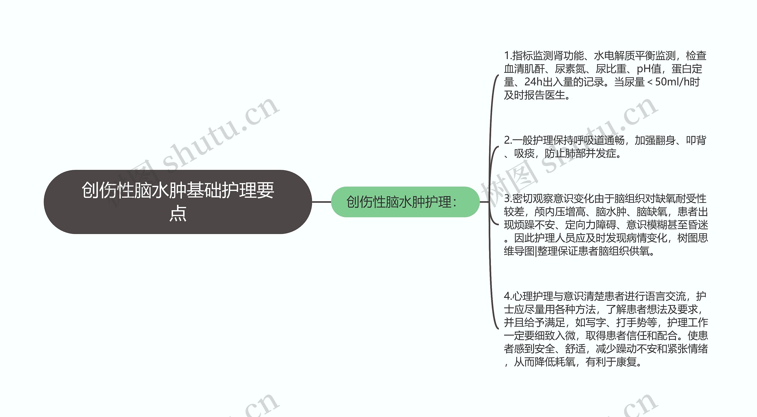 创伤性脑水肿基础护理要点