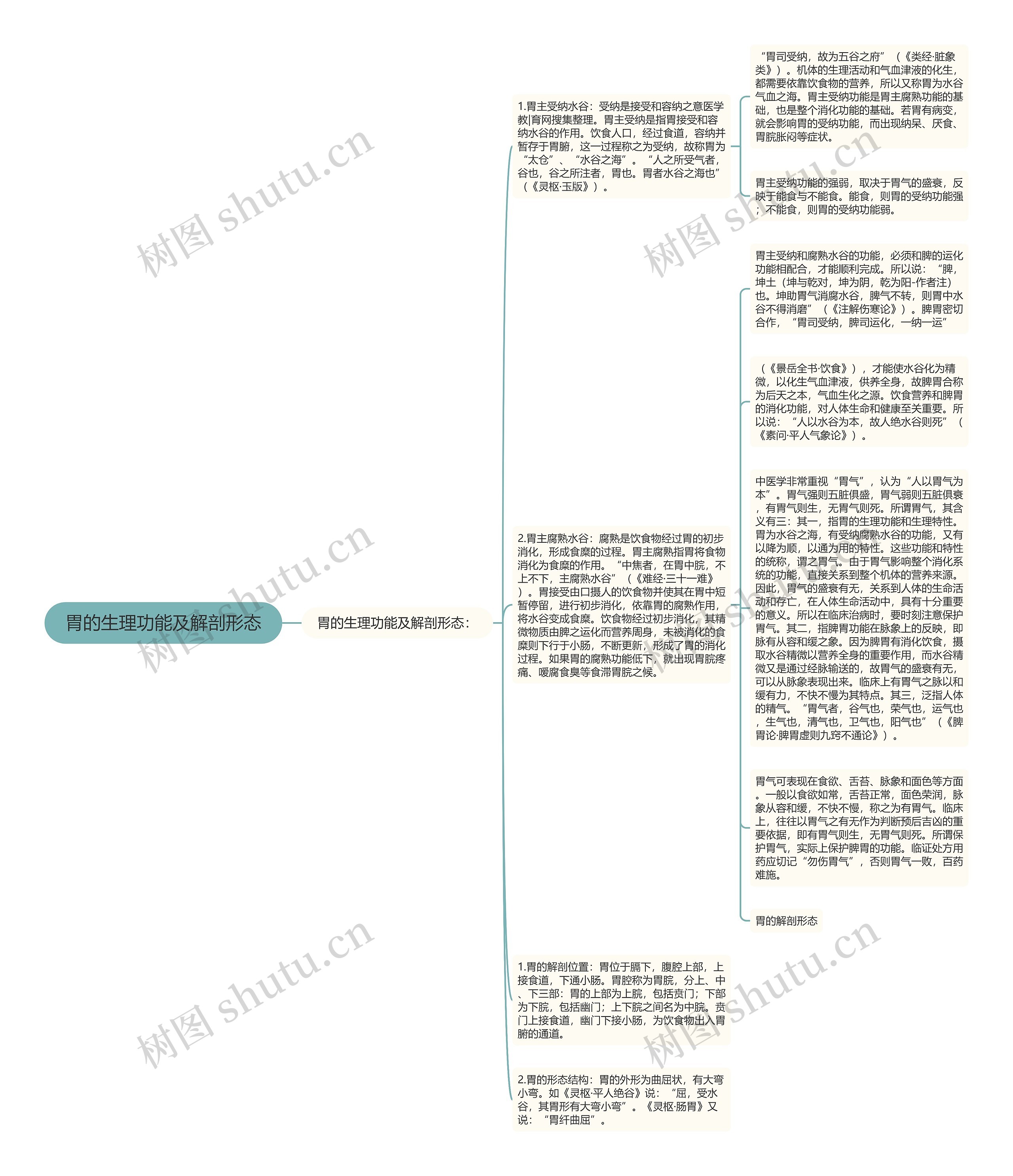 胃的生理功能及解剖形态思维导图