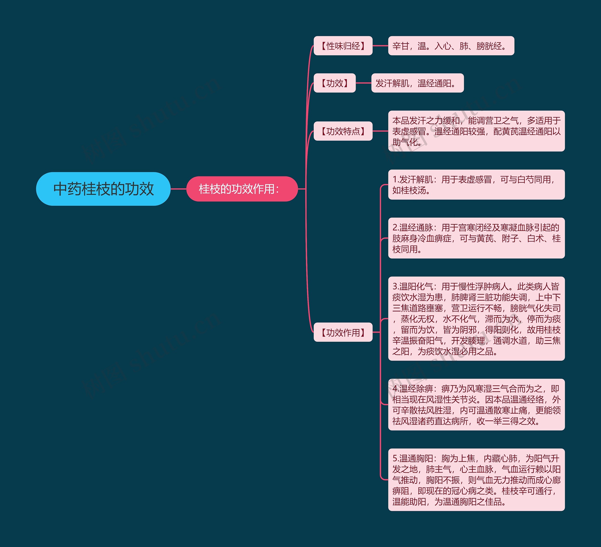中药桂枝的功效 中药桂枝的功效