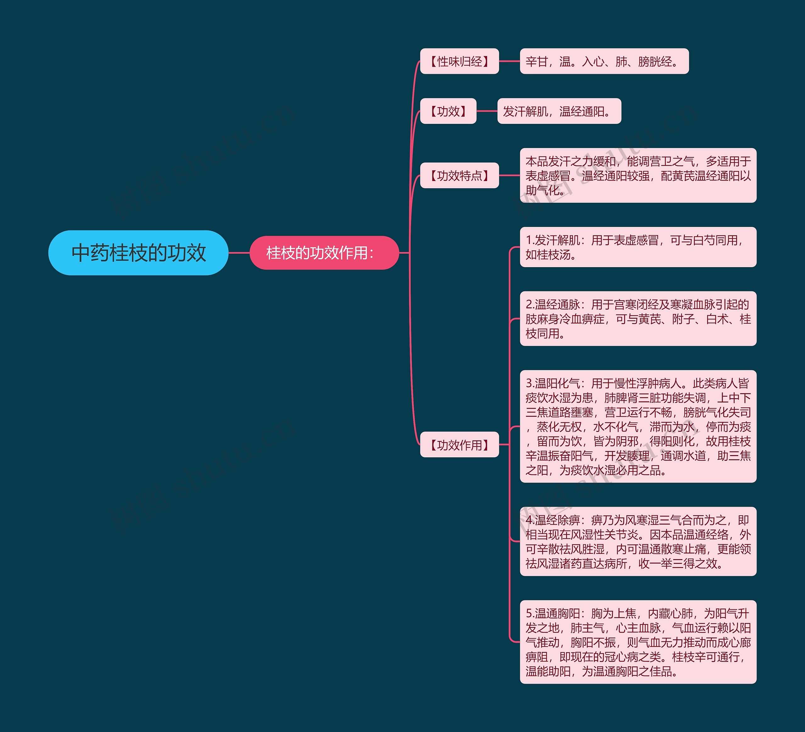中药桂枝的功效思维导图