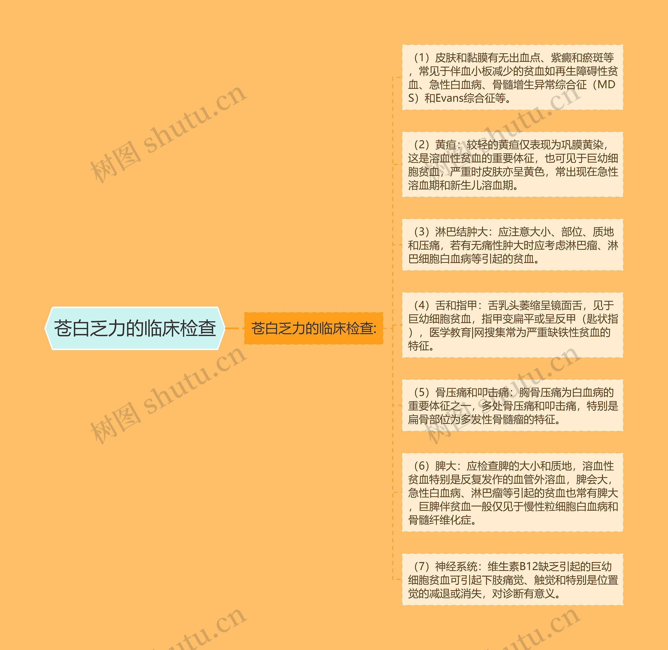 苍白乏力的临床检查 苍白乏力的临床检查