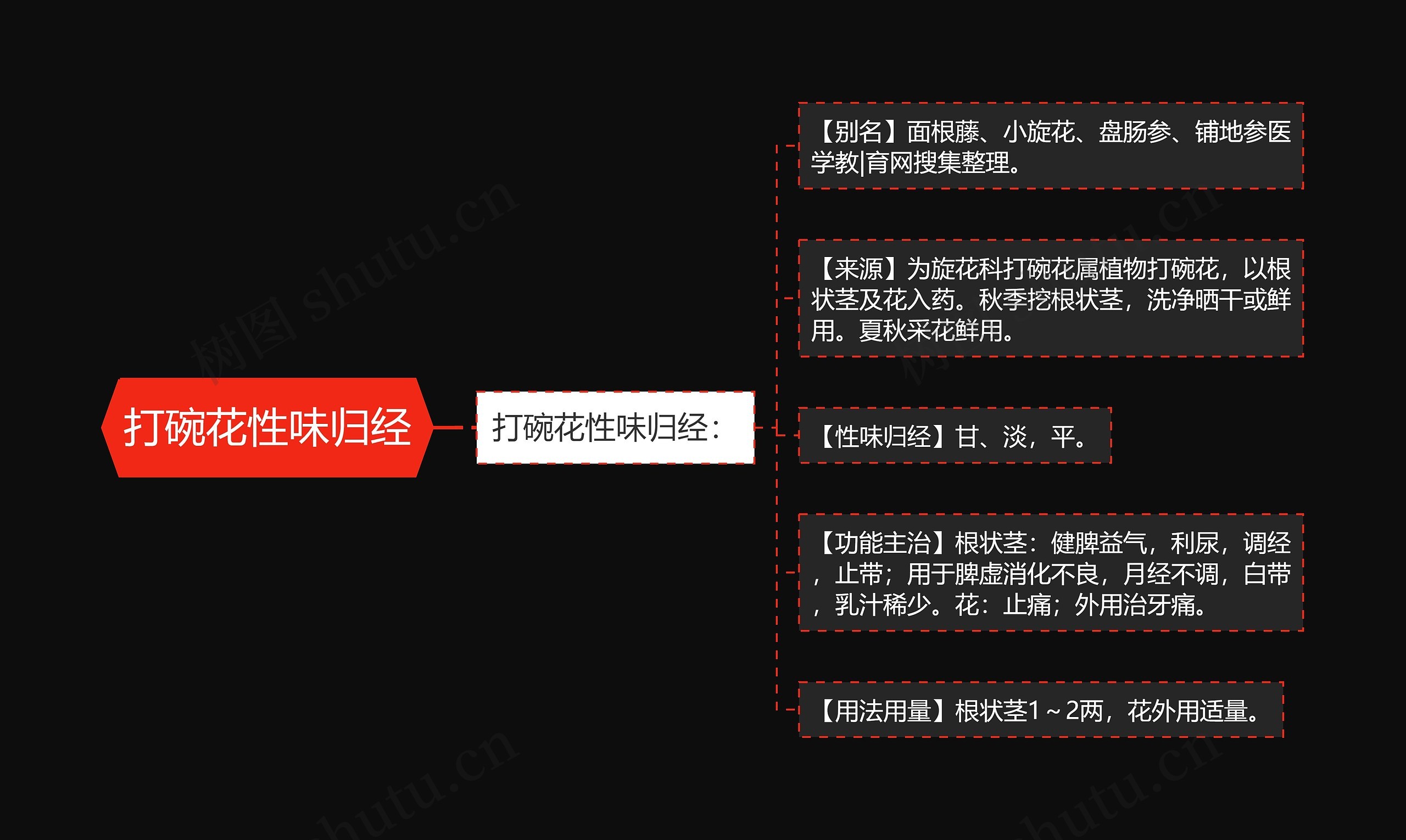 打碗花性味归经 打碗花性味归经