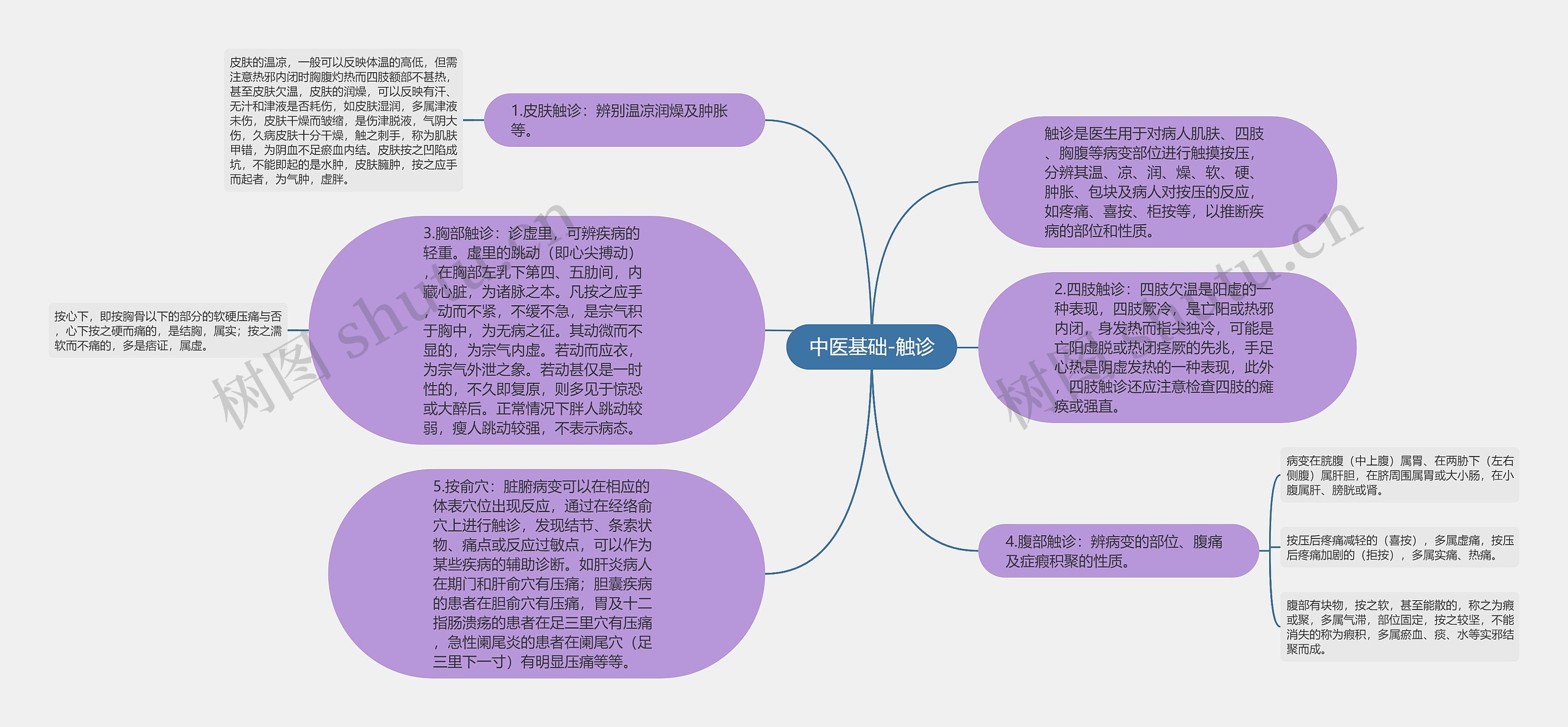 中医基础-触诊思维导图