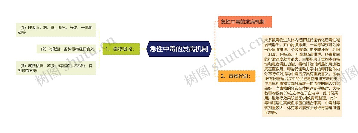 急性中毒的发病机制思维导图_编号p6753414-TreeMind树图