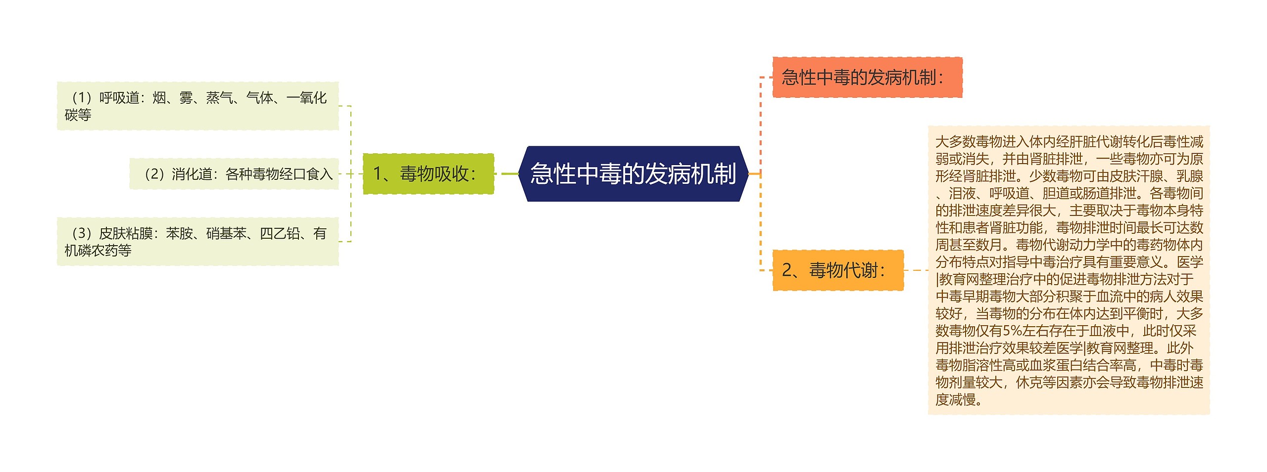 急性中毒的发病机制思维导图