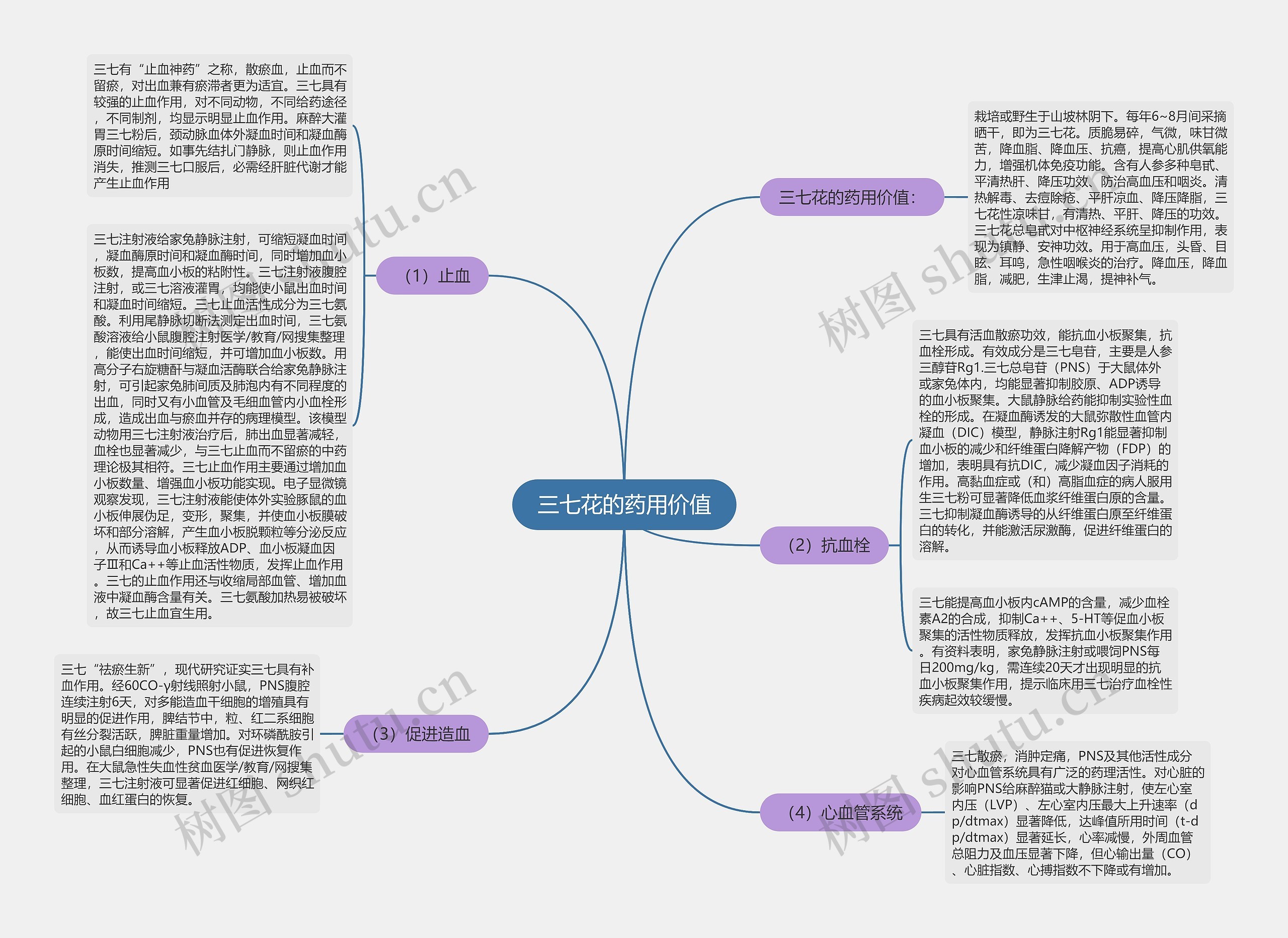 三七花的药用价值思维导图