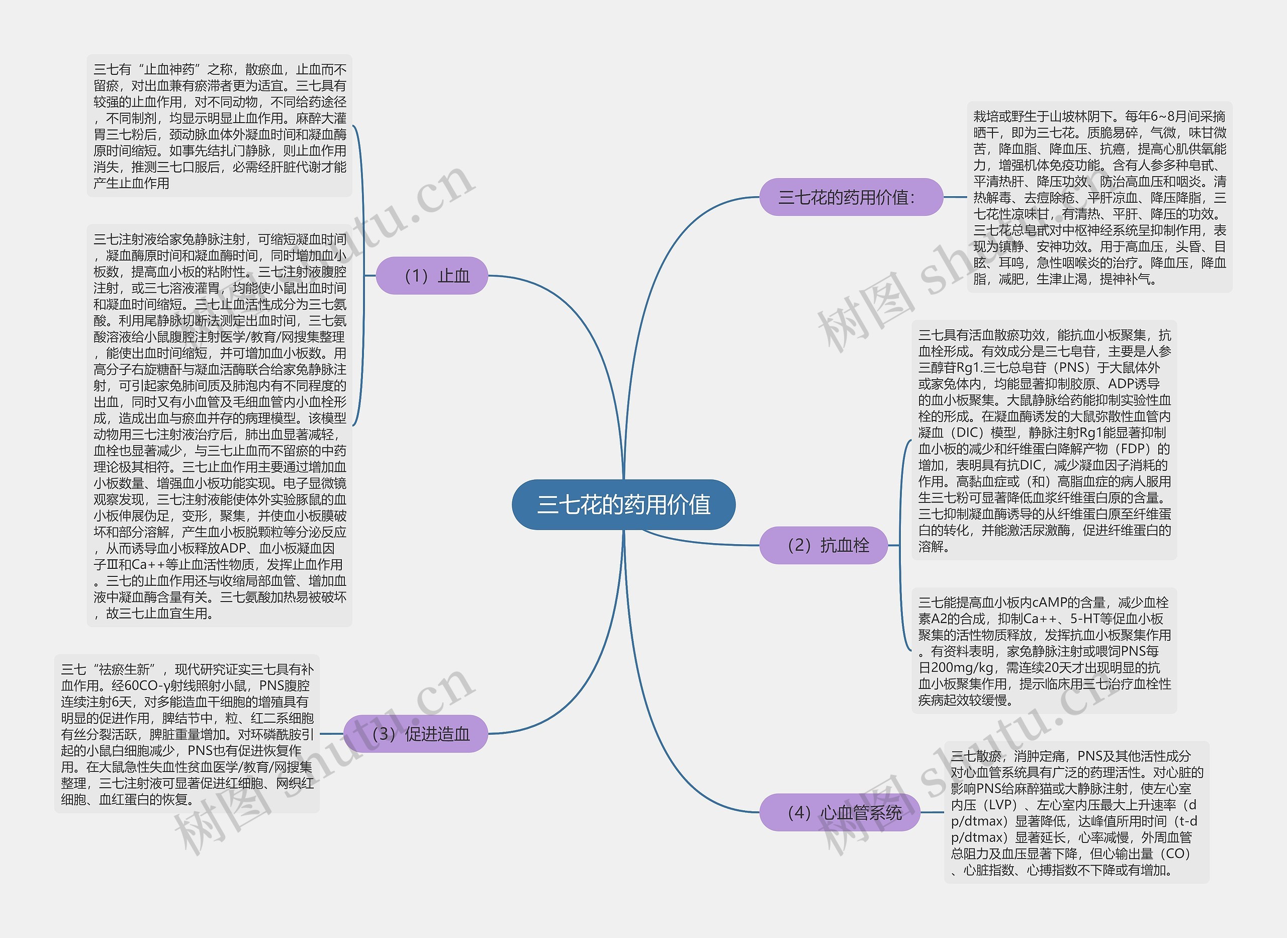 三七花的药用价值 三七花的药用价值