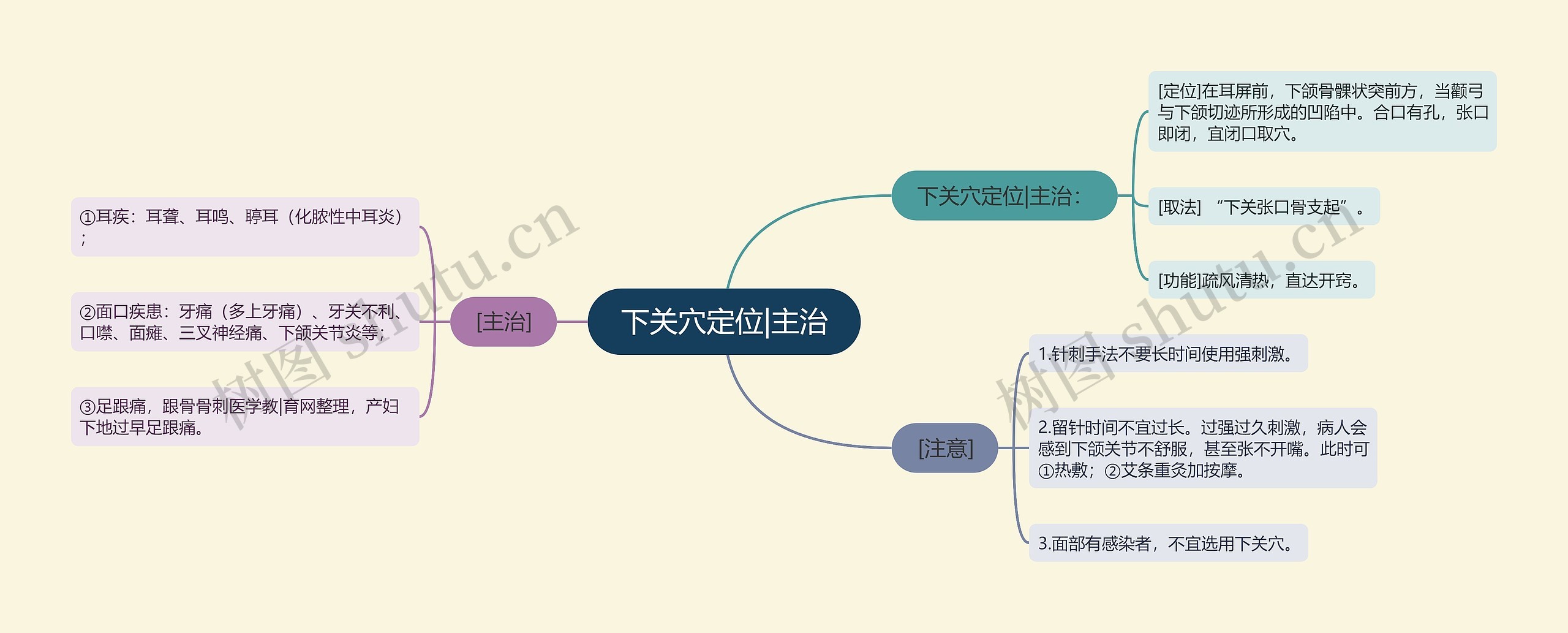 下关穴定位|主治思维导图