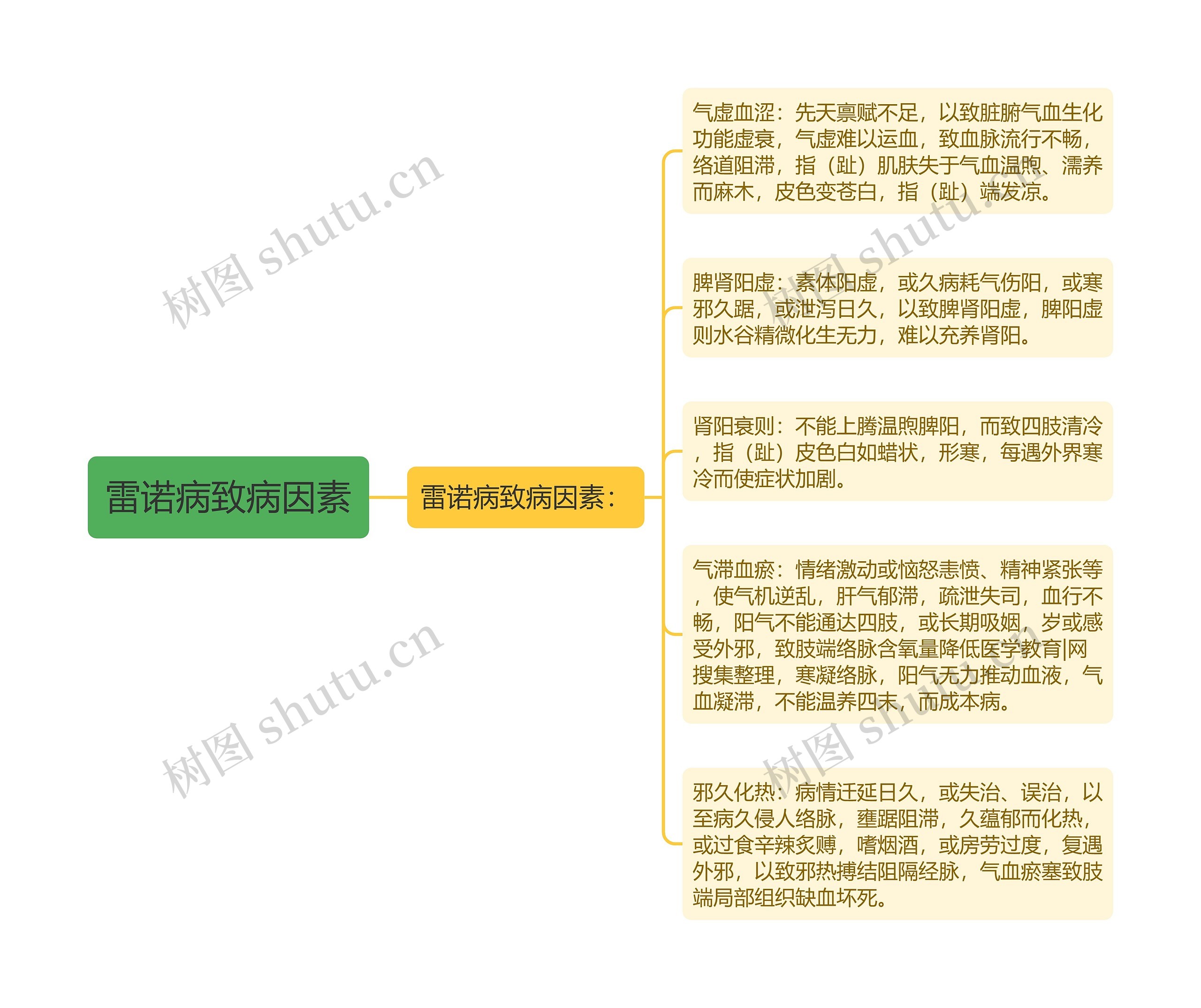 雷诺病致病因素思维导图