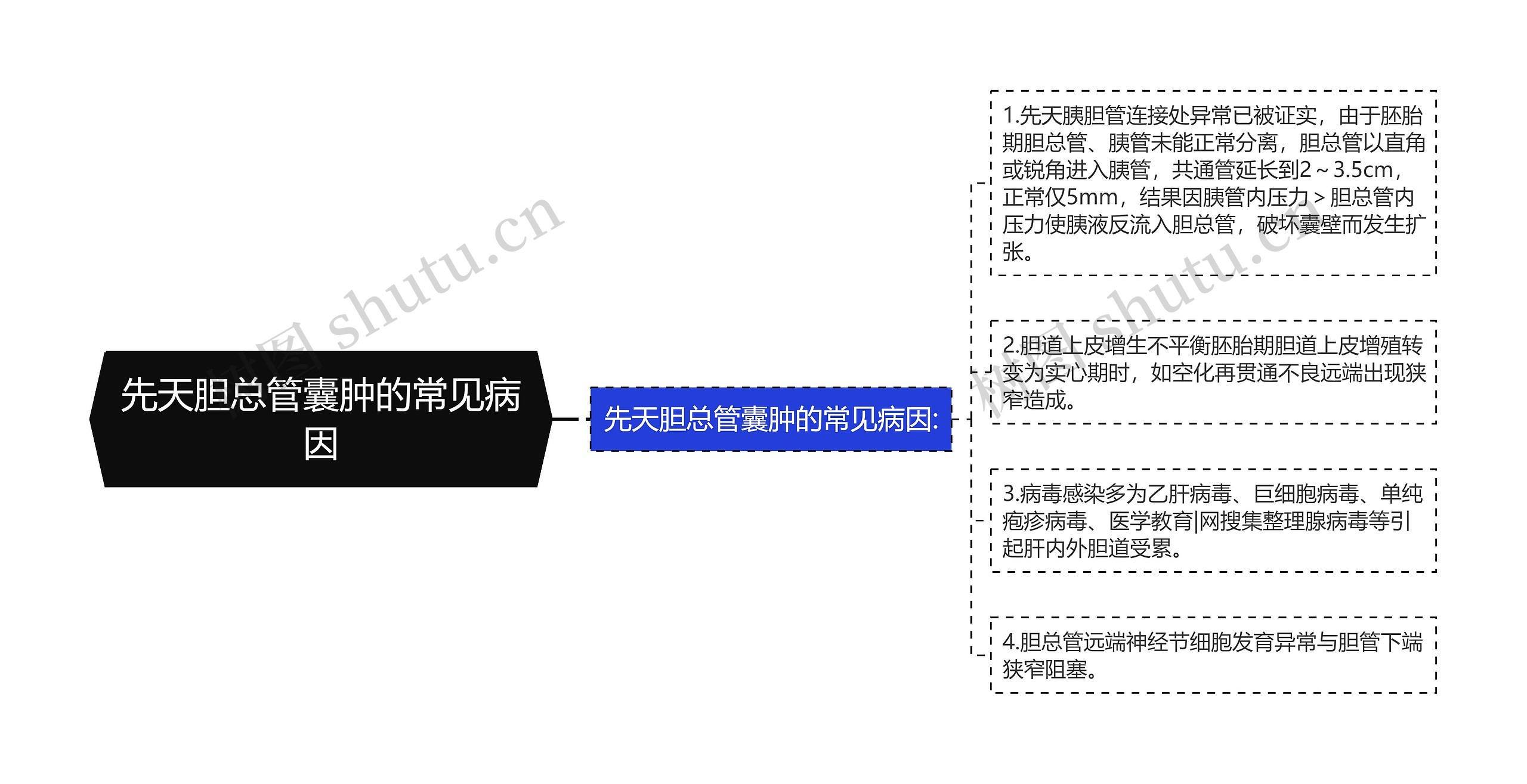 先天胆总管囊肿的常见病因