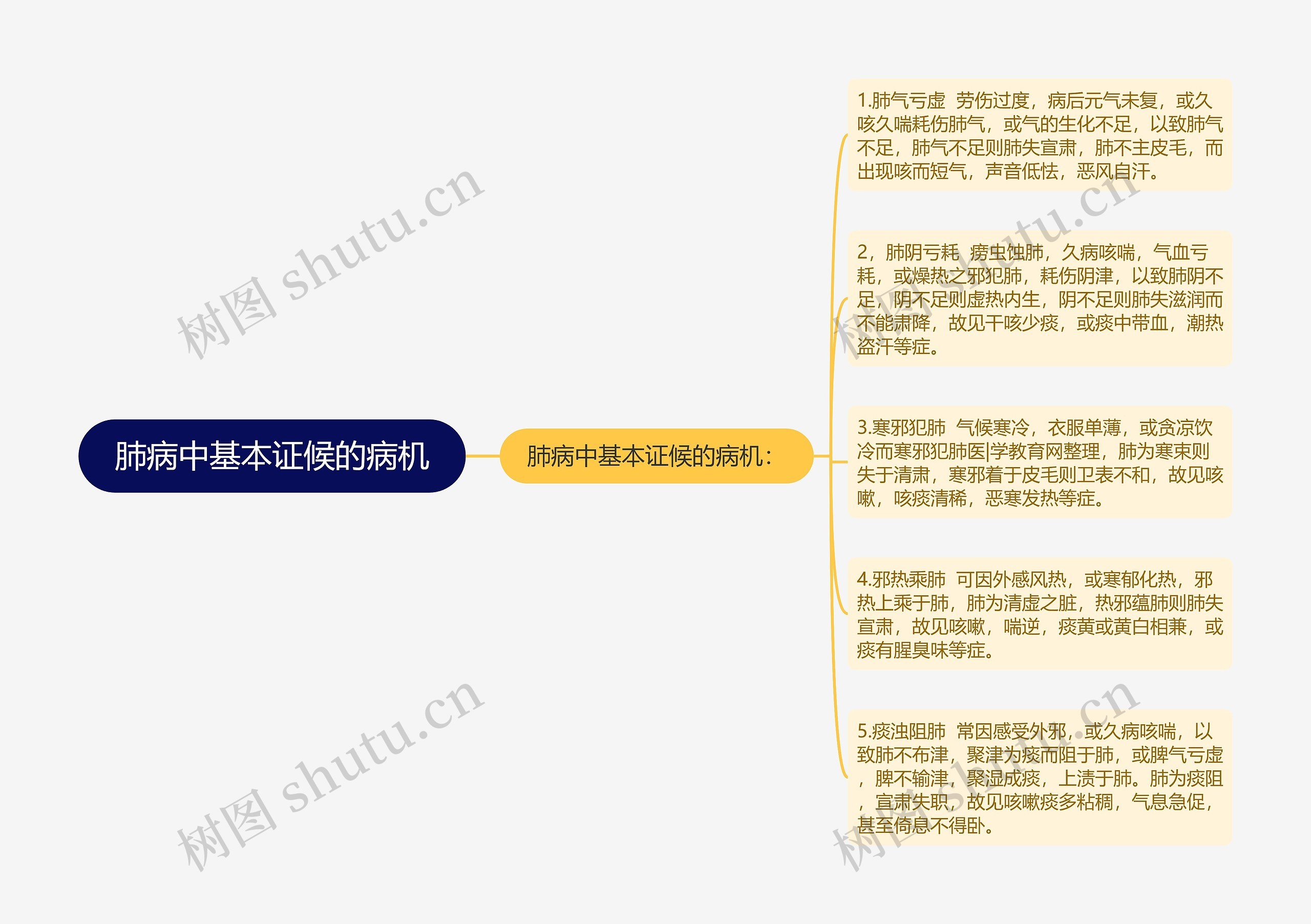 肺病中基本证候的病机思维导图