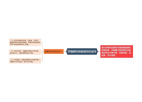 牙髓病的细菌感染的途径